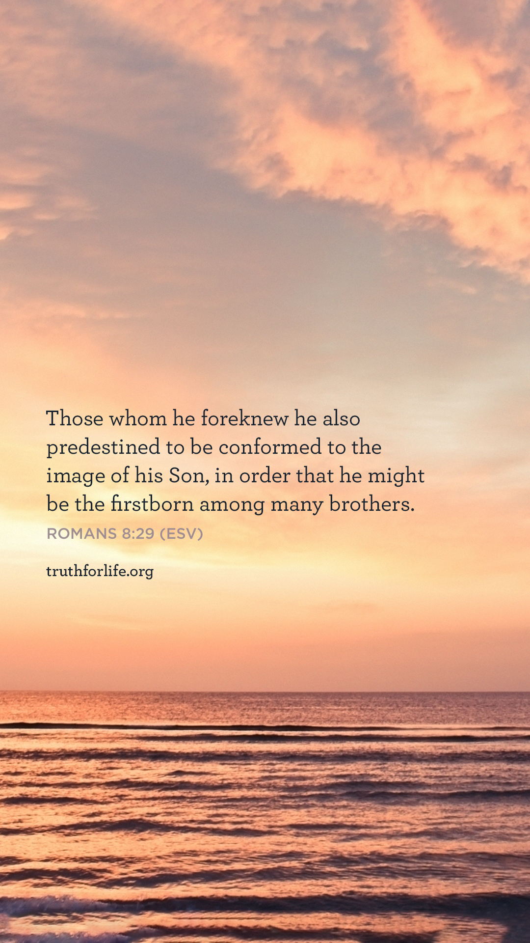 Wallpaper: Predestined