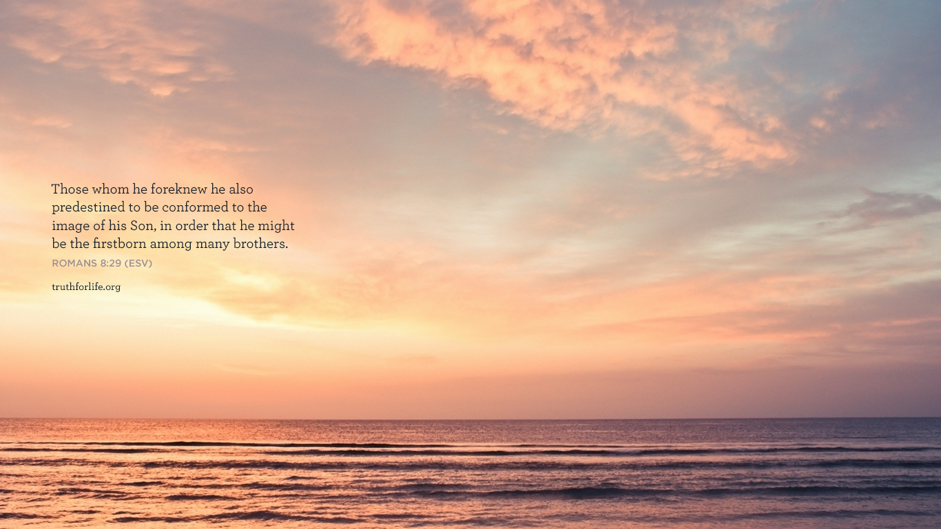 Wallpaper: Predestined