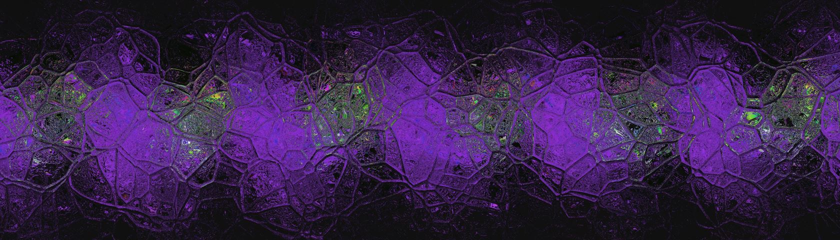 Purple Haze • Image • WallpaperFusion by Binary Fortress Software