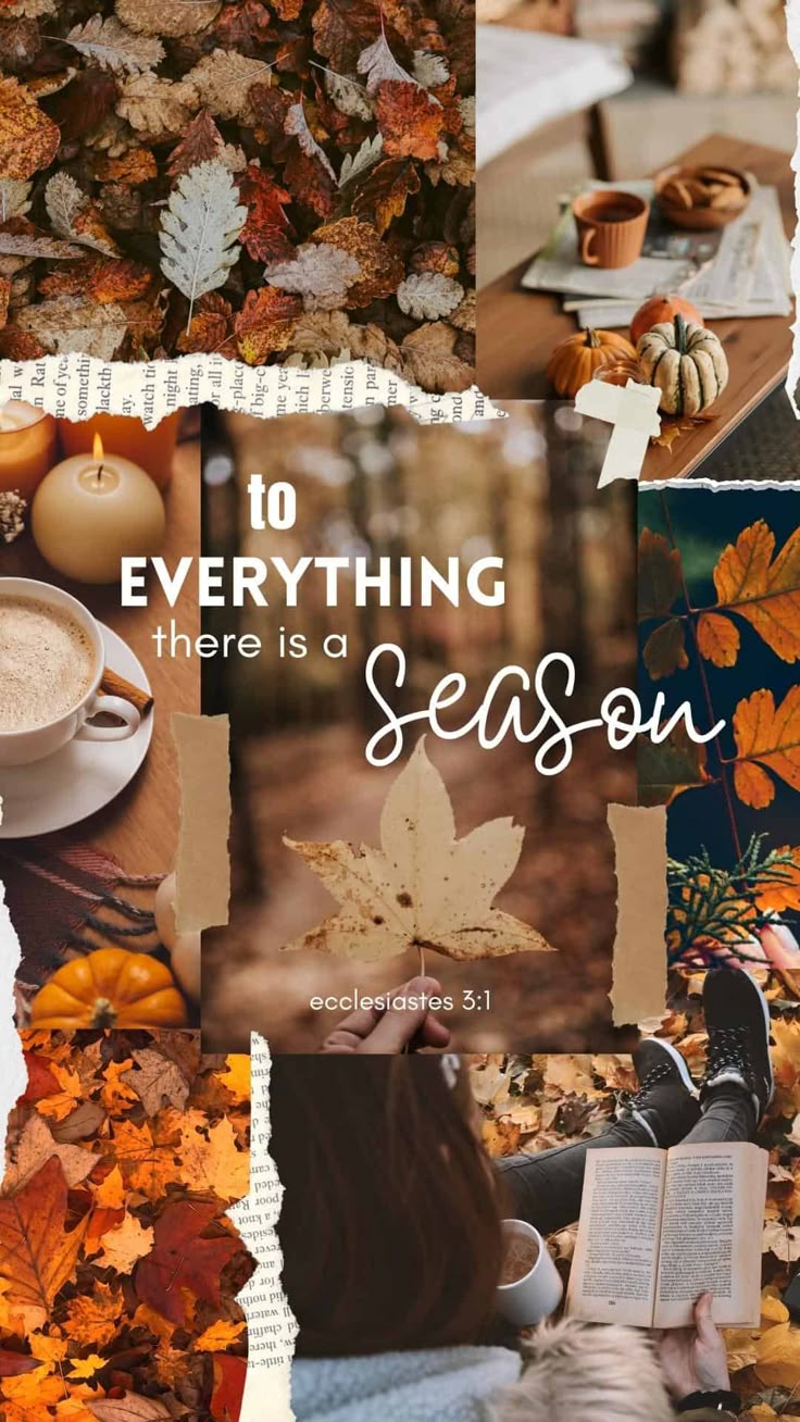 Pin By Debbie Yount On Fall Autumn Cheer & Quotes. Autumn Phone Wallpaper, IPhone Wallpaper