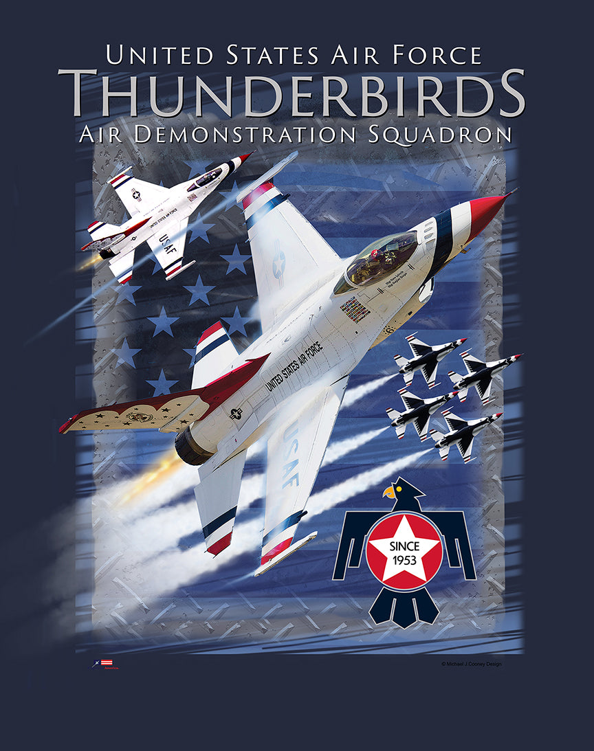 USAF Thunderbirds Dedication T Shirt