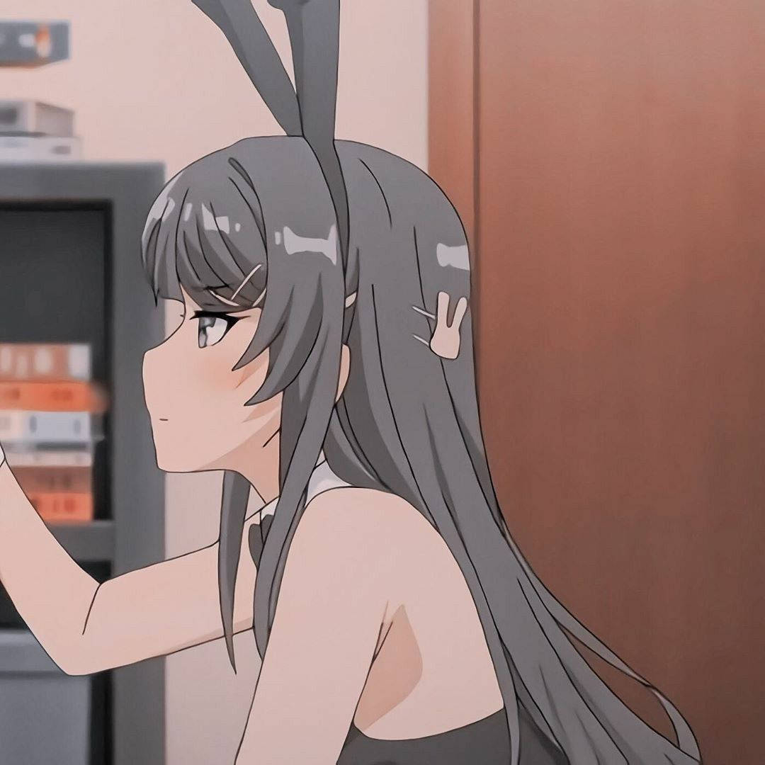 Download Mai Sakurajima Bunny Girl Senpai Anime Discord PFP Wallpaper