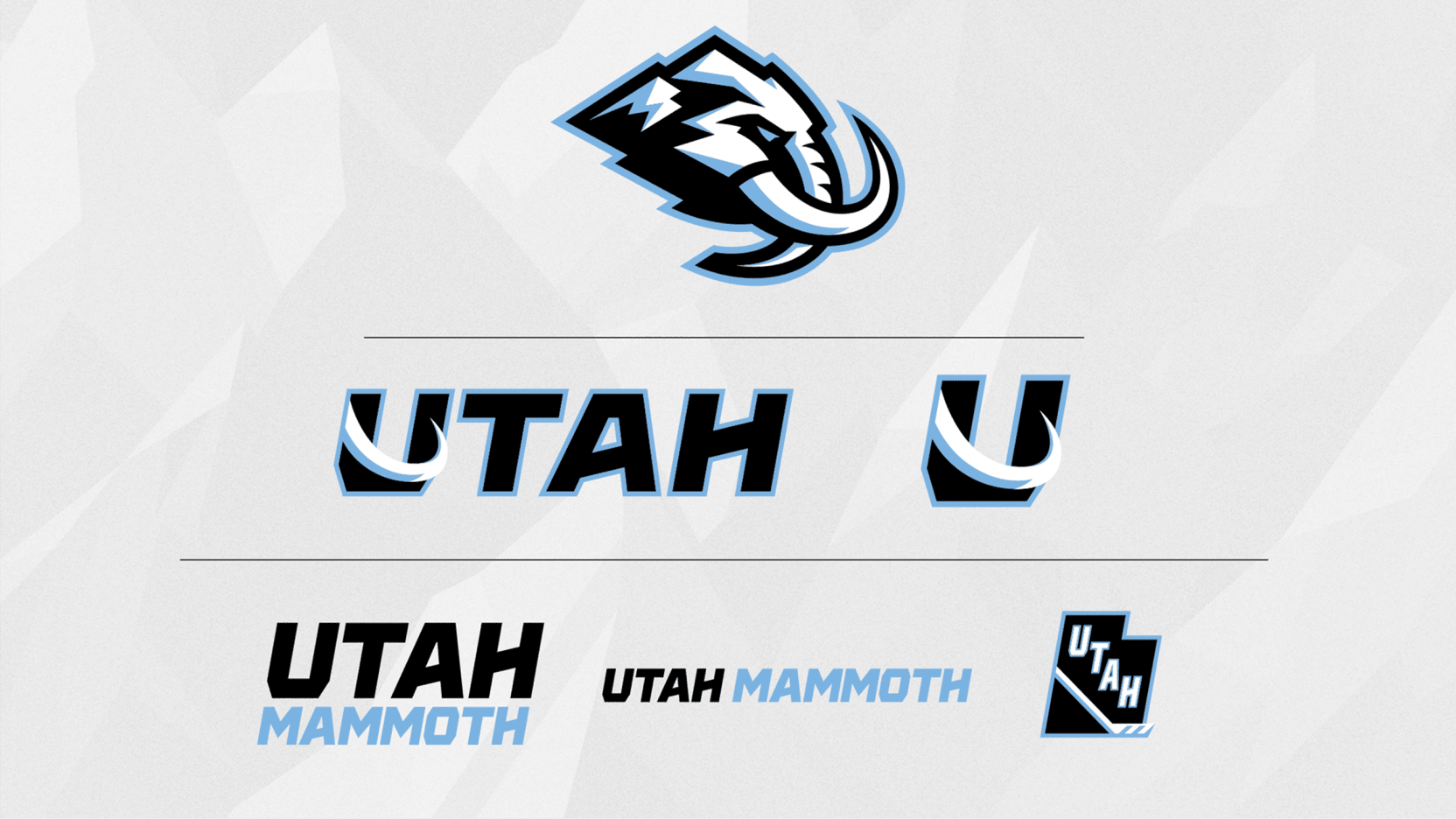 Outdoor Hockey Pucks 2025 Utah Mammoth Wallpaper Sports Background Practice Hockey Puck