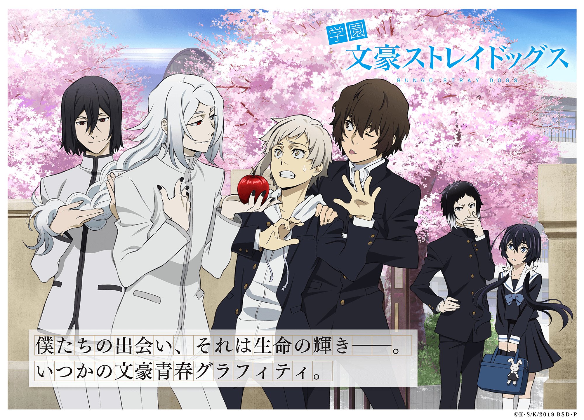 Bungou Stray Dogs Dead Apple HD Wallpaper 107705