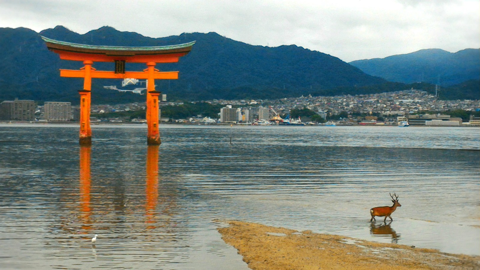 Miyajima Island: Best Things to Do Web Magazine