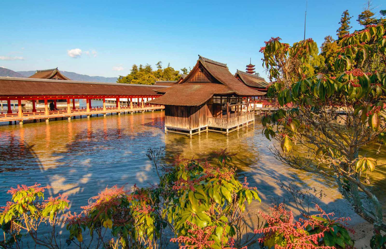 Discover the kami at the Itsukushima Shrine on Miyajima Island
