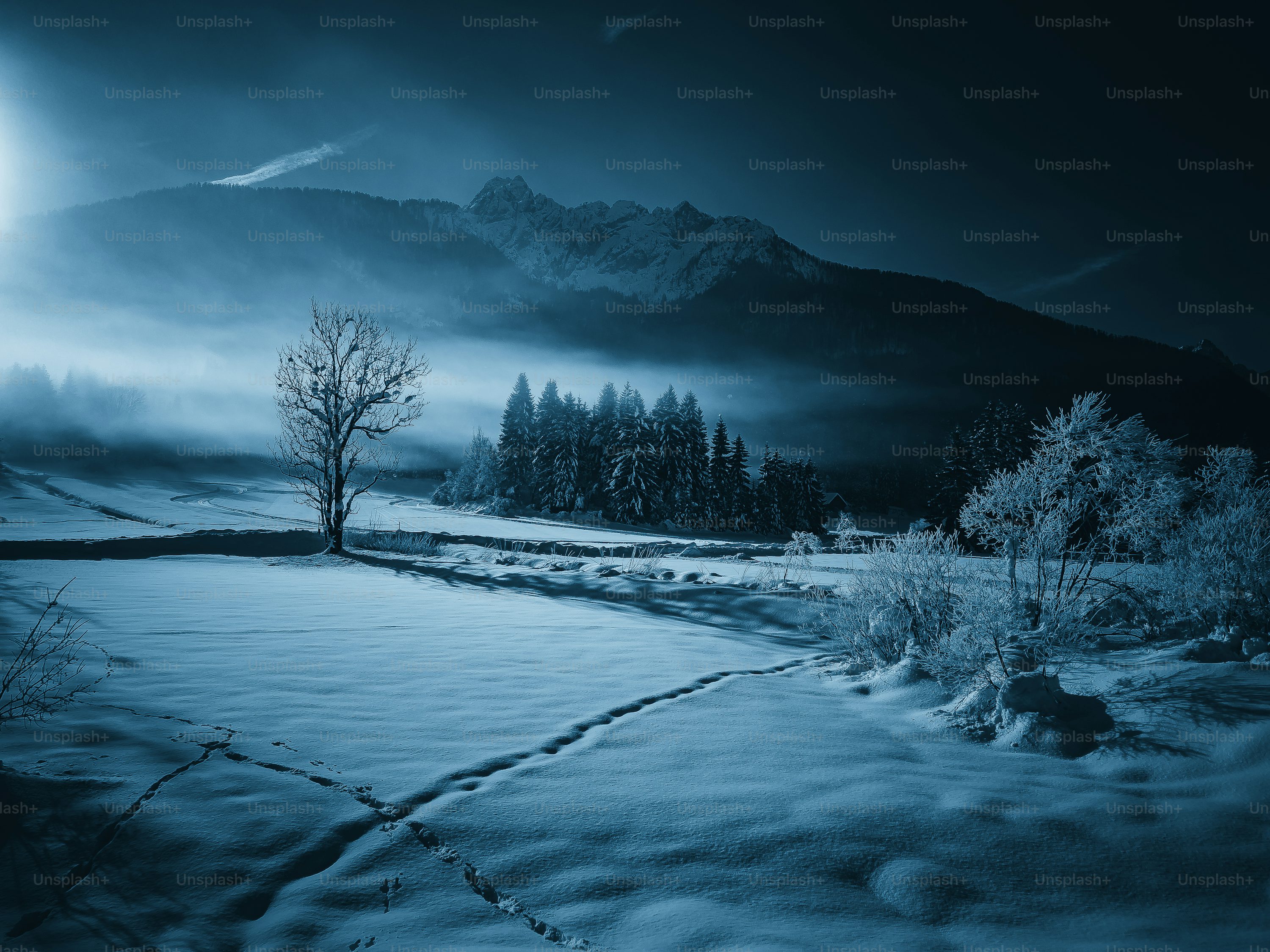 Dark Snow Picture. Download Free Image