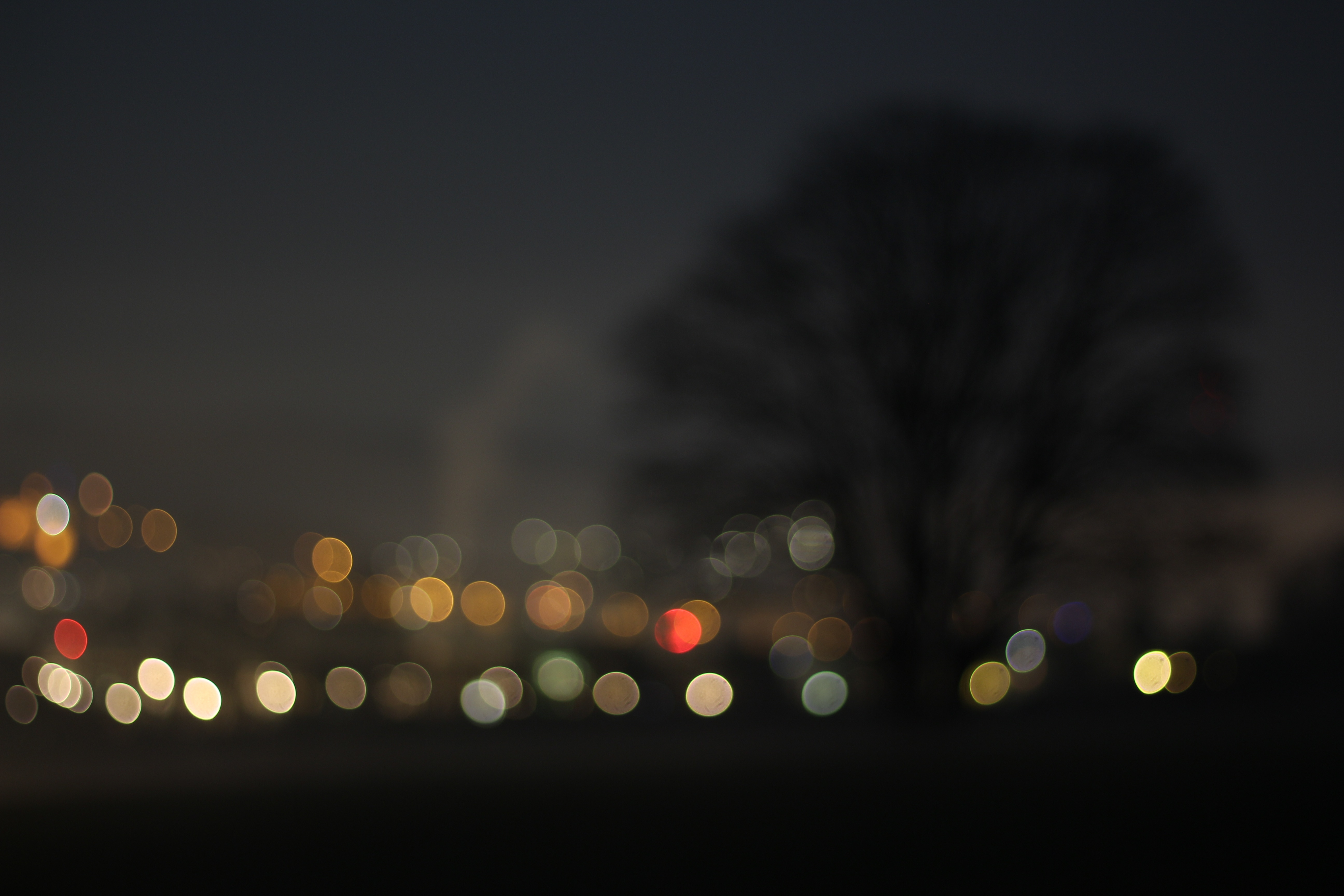 Free Image, tree, nature, winter, light, bokeh, fog, night, sunlight, morning, city, dark, evening, reflection, peaceful, darkness, aesthetic, shape, forest path, macro photography, kahl, out of focus, atmospheric phenomenon, atmosphere of