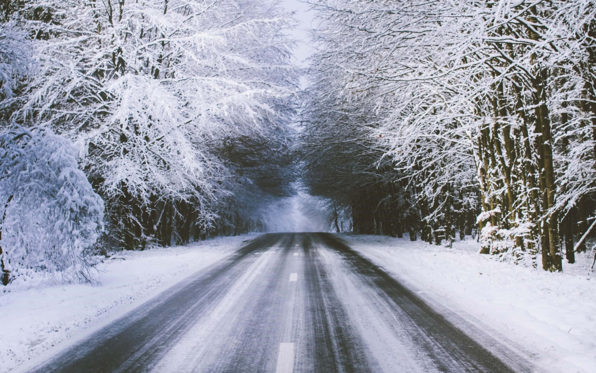Download Snowy Road Winter's Wonderland Wallpaper