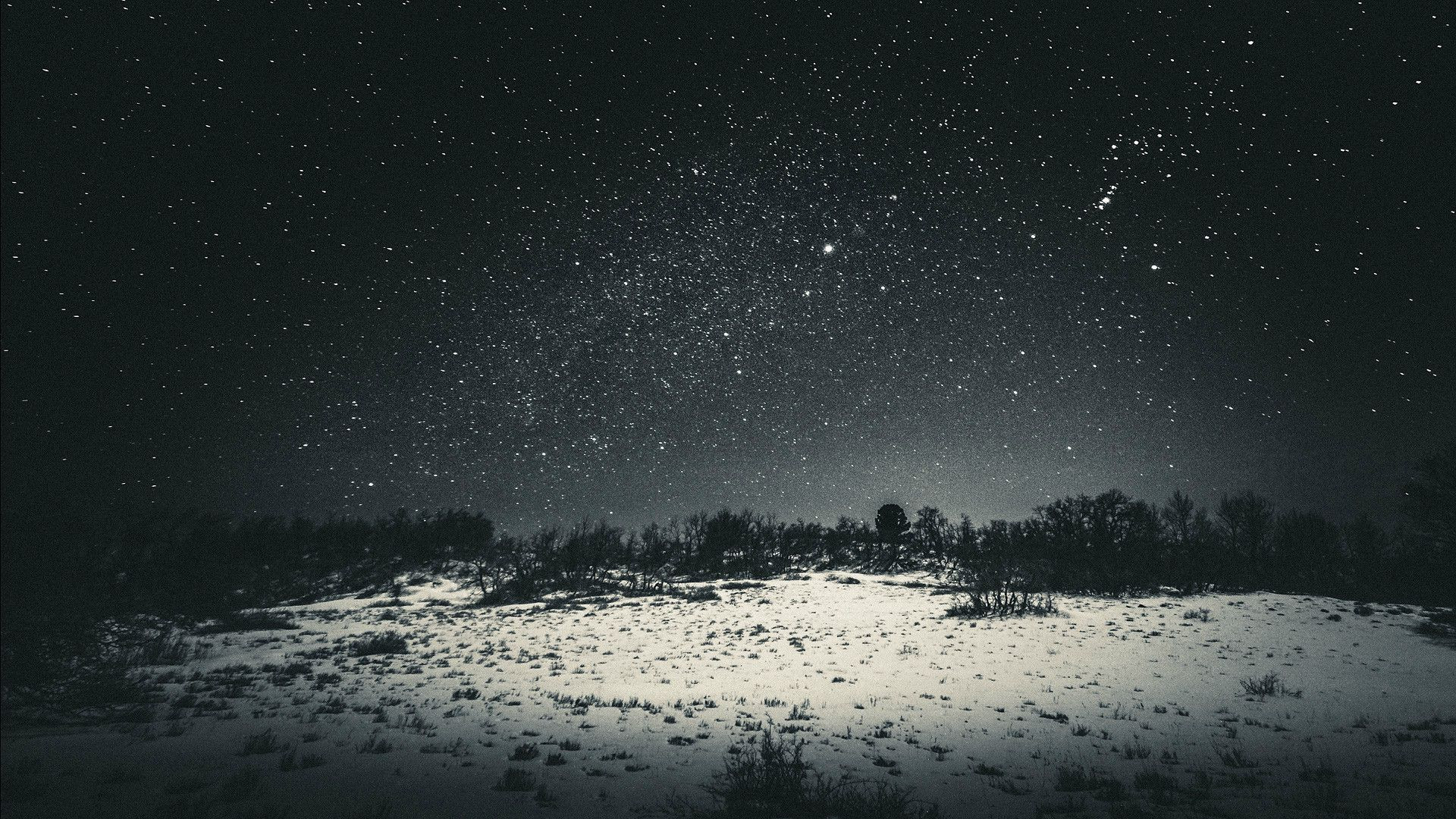 Winter Star Wallpaper 26618