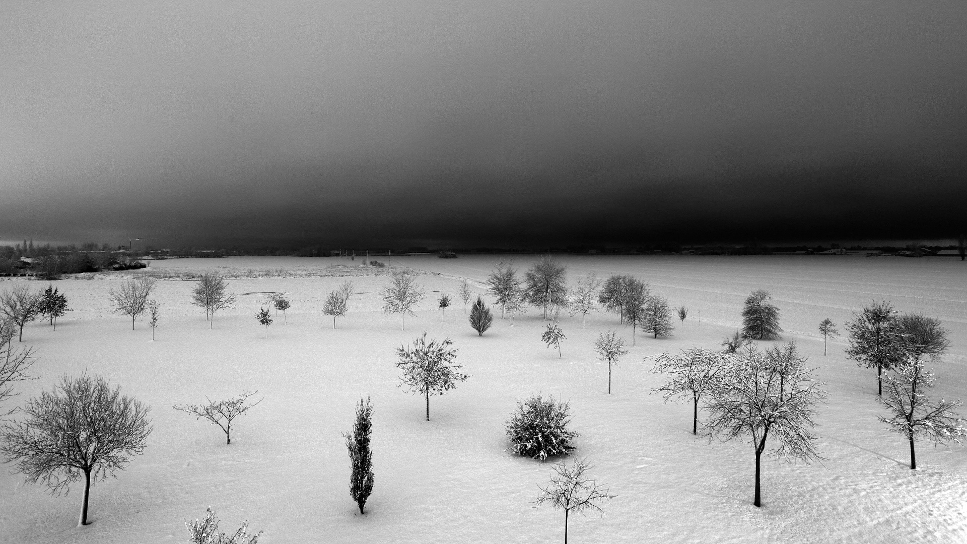 Free Image, landscape, tree, nature, snow, winter, black and white, fog, mist, morning, frost, ice, weather, season, nero, freezing, monochrome photography, atmospheric phenomenon, woody plant 1920x1080