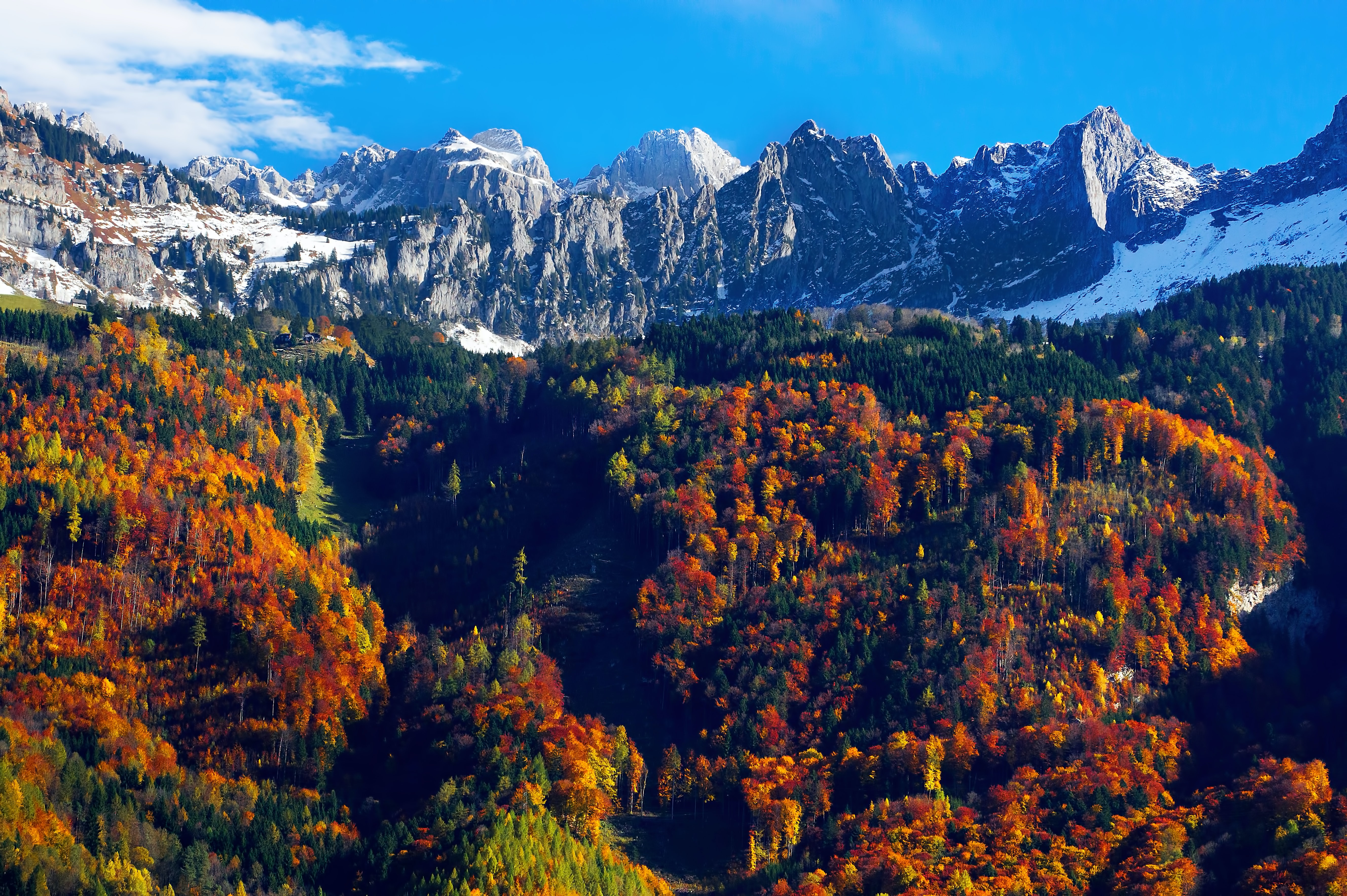 Autumn trees Wallpaper 4K, Snow mountains, Blue Sky, Glacier
