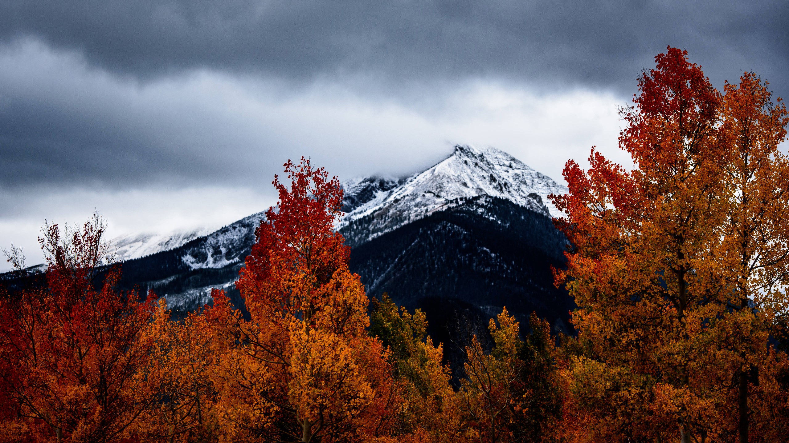 Beautiful Landscape View Of Snow Capped Mountain And Colorful Autumn Leaves Trees Under Black Clouds White Sky 4K 5K HD Autumn Wallpaper