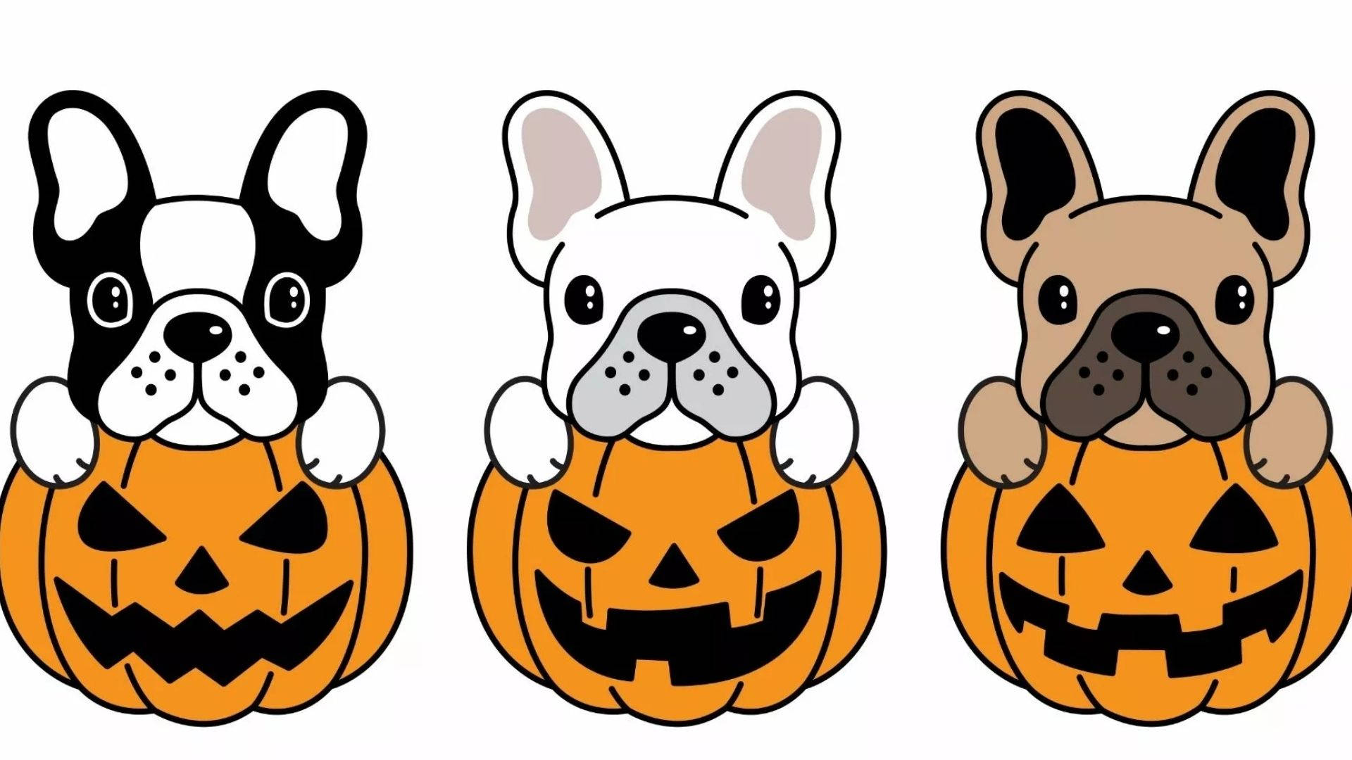 Download Cartoon Halloween Puppies In Pumpkins Wallpaper