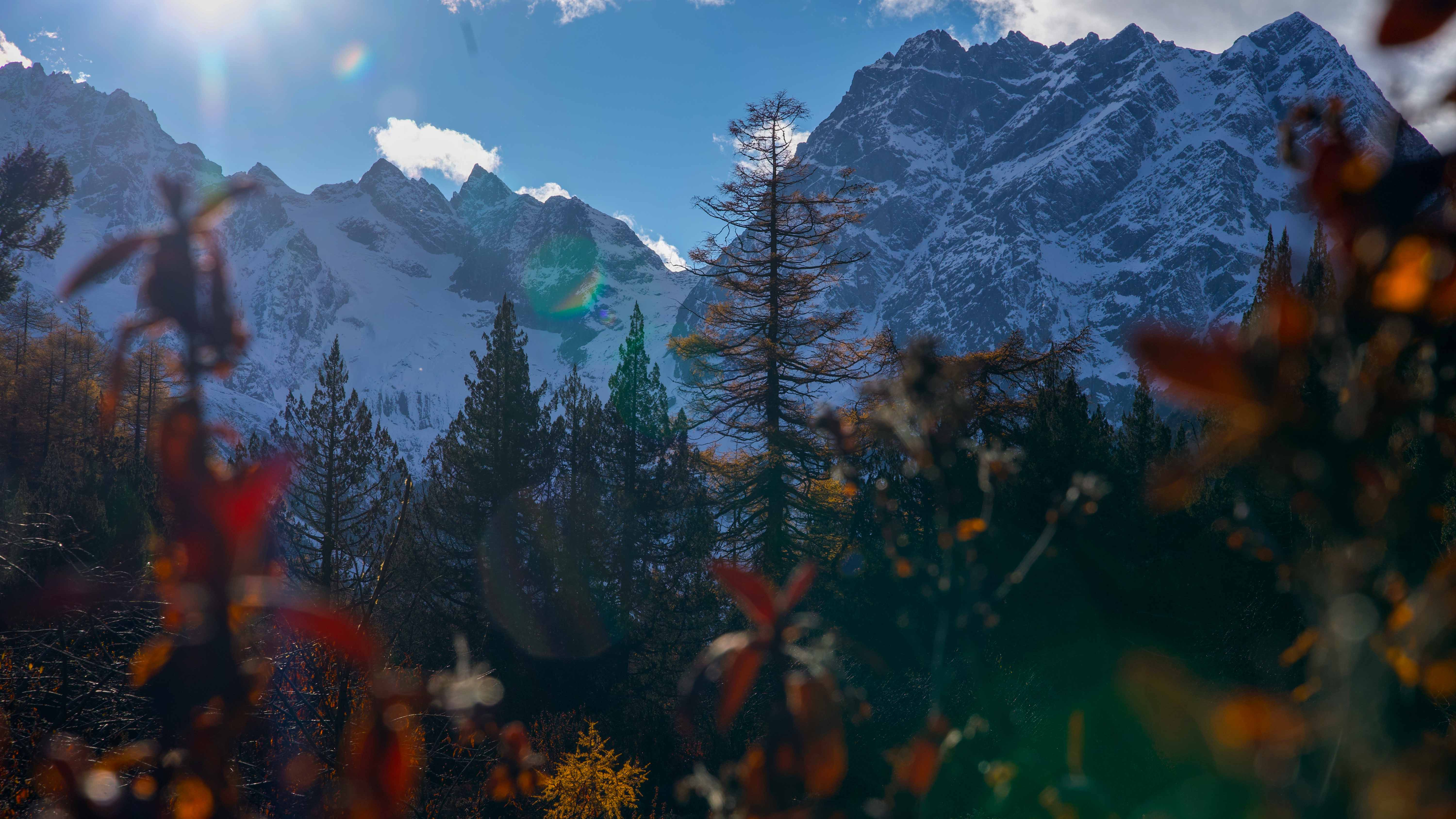 Baima Snow Mountain Nature Reserve: A Real Shangri La In Shangri La