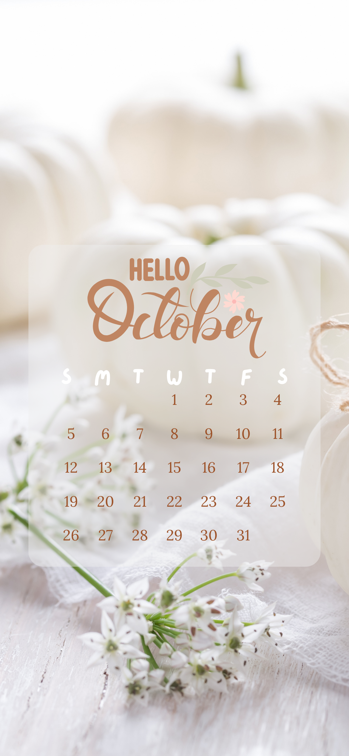 October 2025 iPhone Calendar Background (FREE EASY DOWNLOAD)
