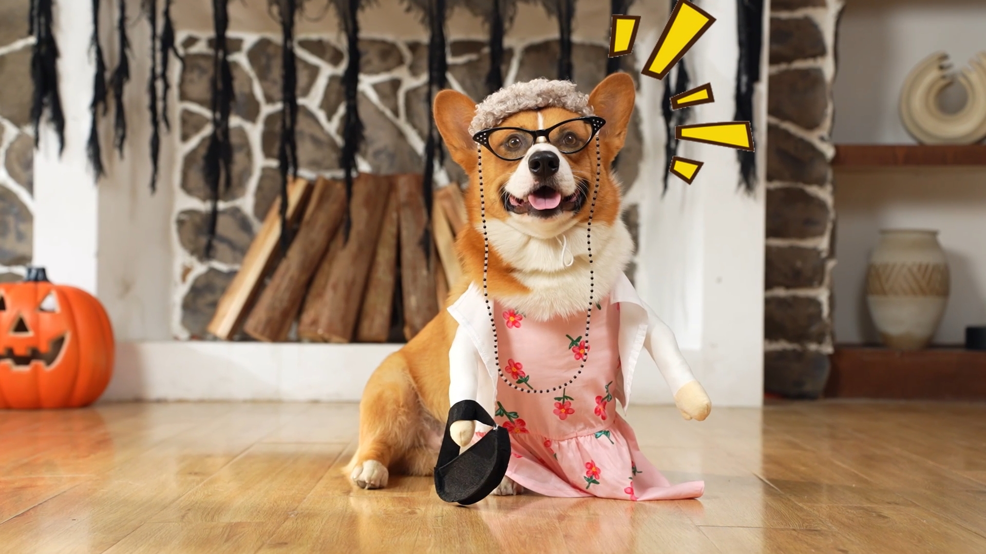 Amazon.com, Talltalk 4 Pcs Old Lady Dogs Costume Set Halloween Grandma Dogs Costume Set with Pink Floral Dress Wig Glasses Necklace for Dress up(L), Pet Supplies