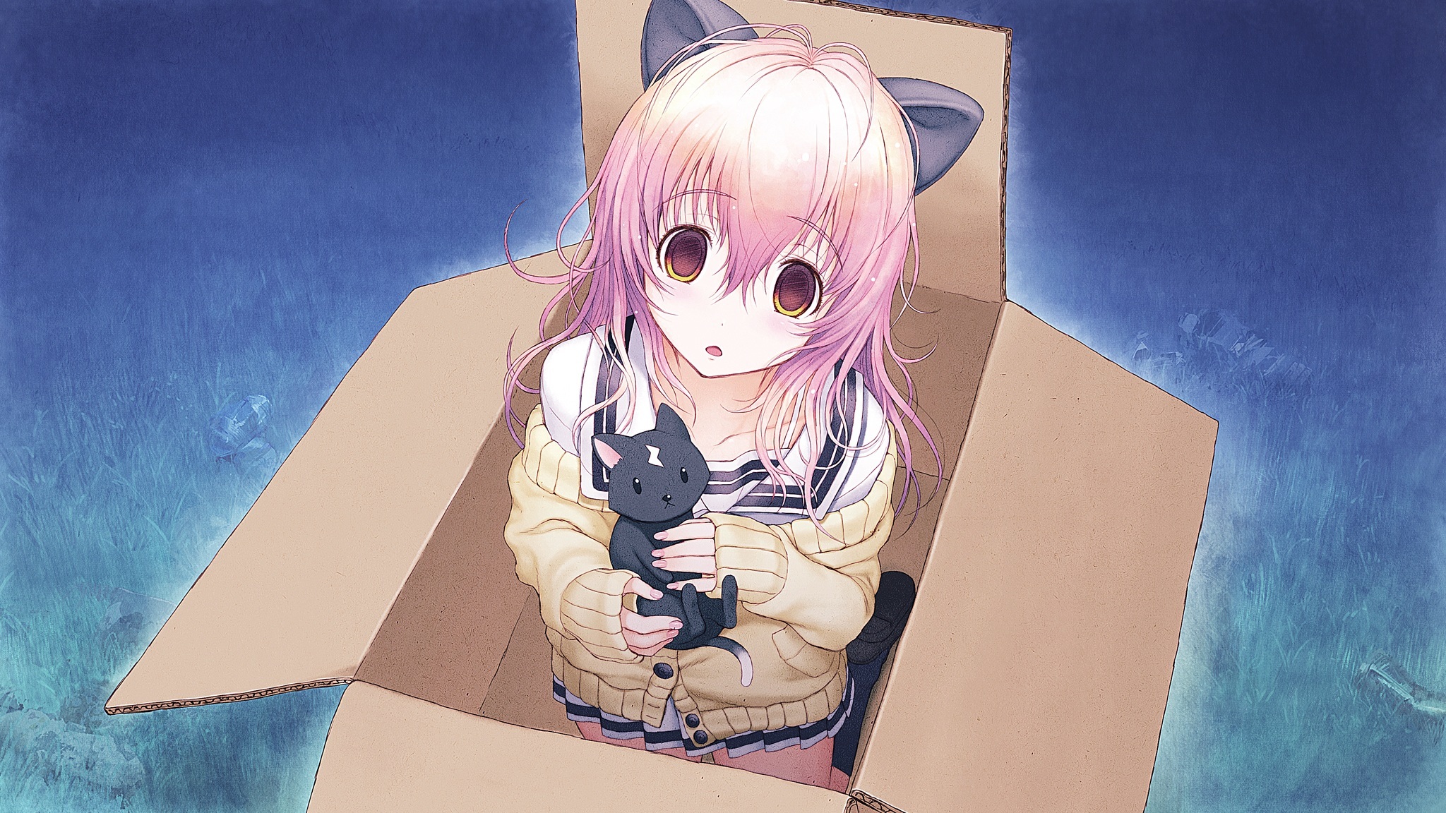 Wallpaper girl, box, cat, neko, ears, Kimi to Kanojo to Kanojo no Koi, Mukou Aoi for mobile and desktop, section арт, resolution 2048x1152