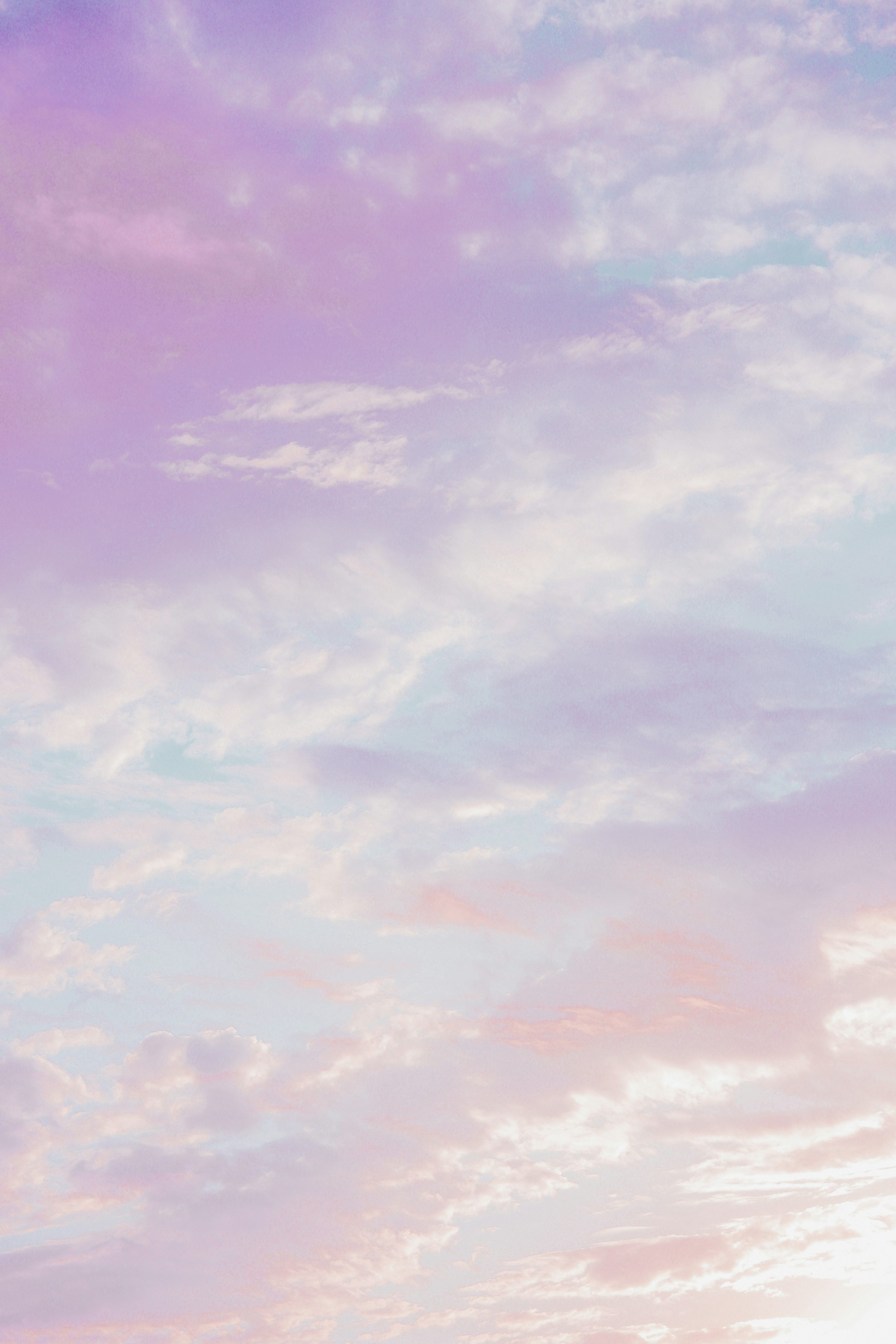 Purple Wallpaper Picture Creators
