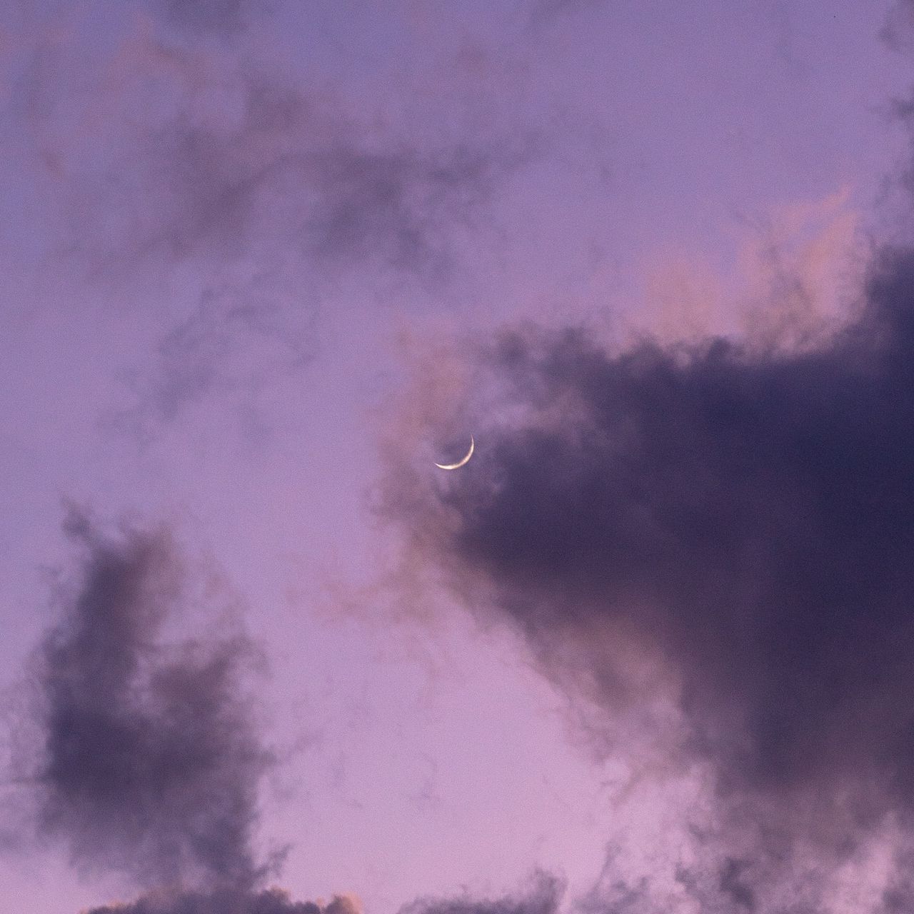 Download wallpaper 1280x1280 clouds, moon, sky, purple ipad, ipad 2, ipad mini for parallax HD background