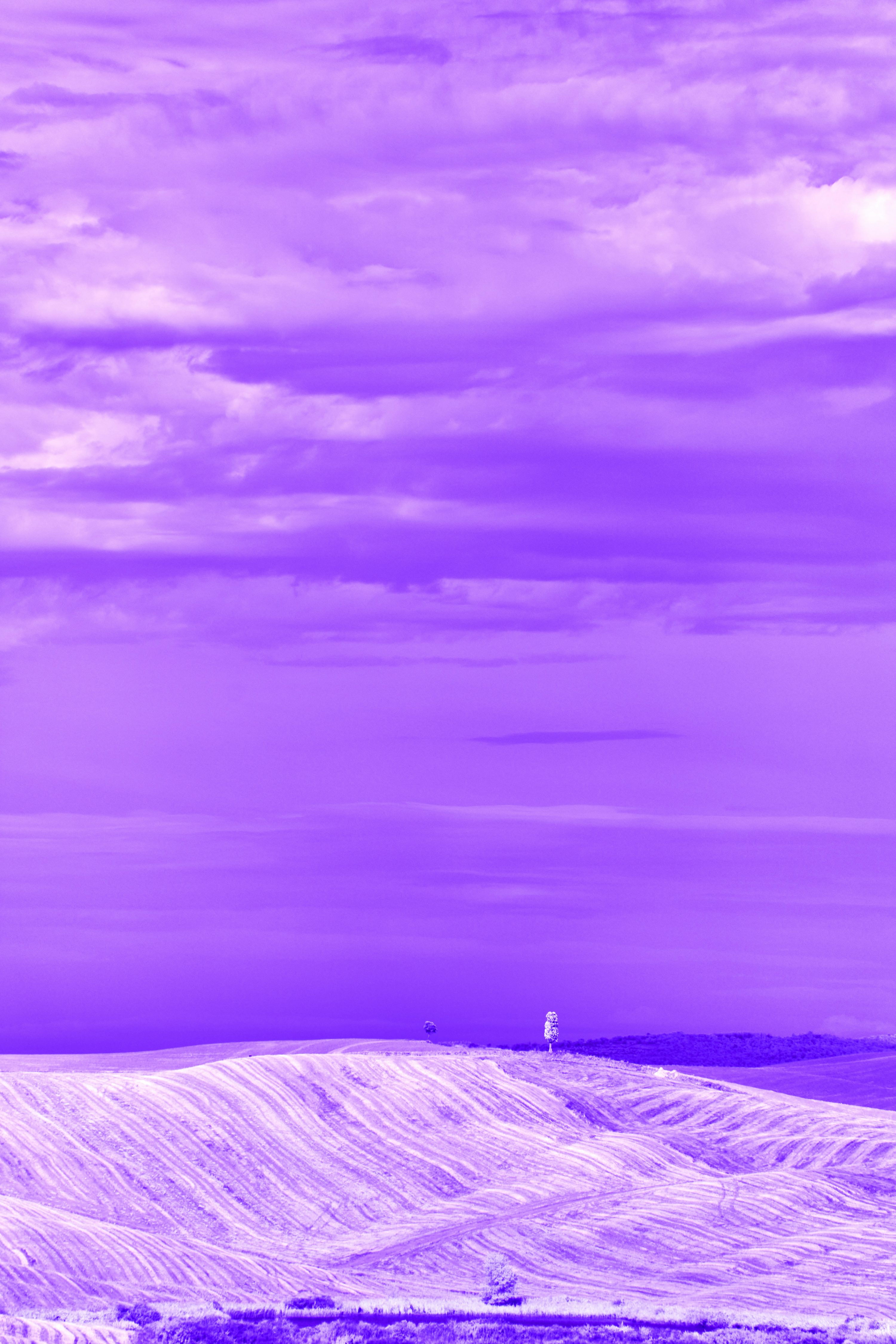 A picture of a purple sky with mountains in the background photo