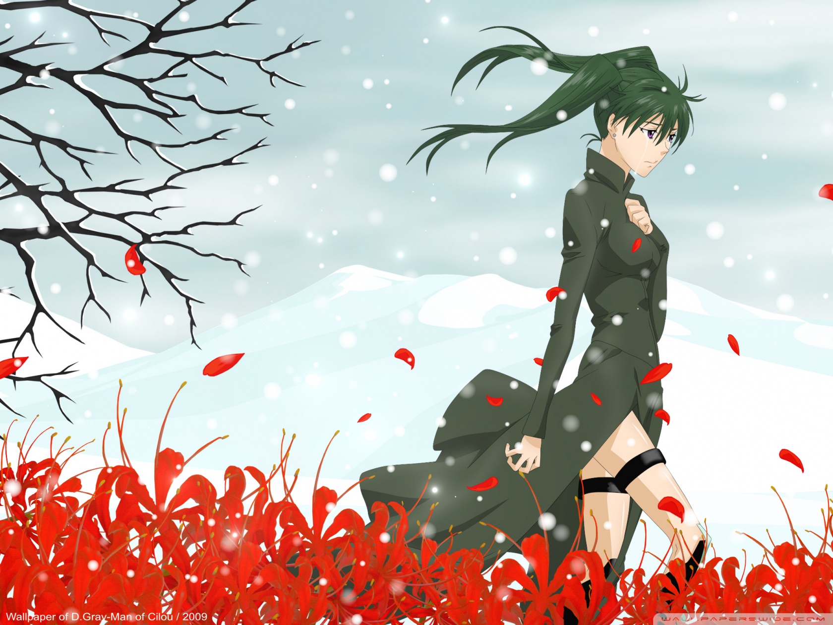 D Gray Man 4K UHD Wallpaper for UltraHD Desktop and TV