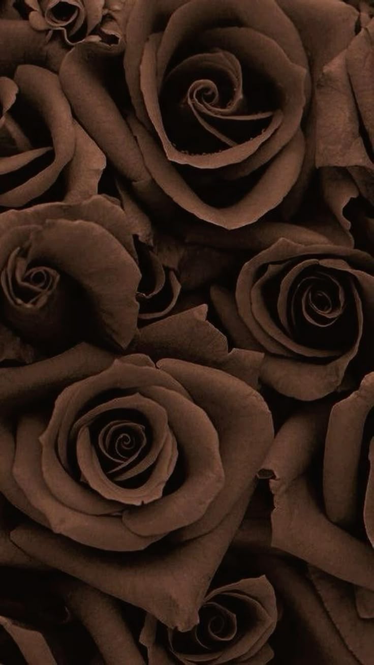 Brown and Gold Aesthetic Wallpaper with Roses