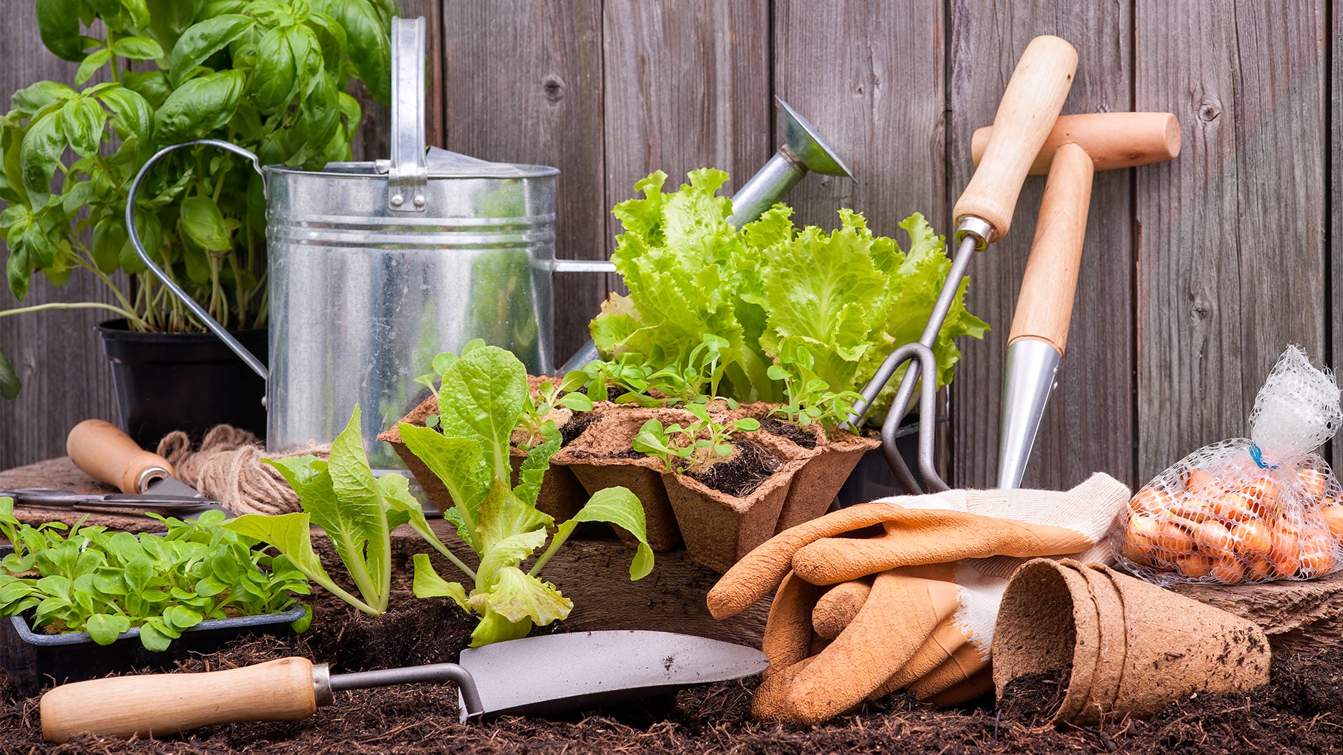 Tools You'll Need To Start Your Garden