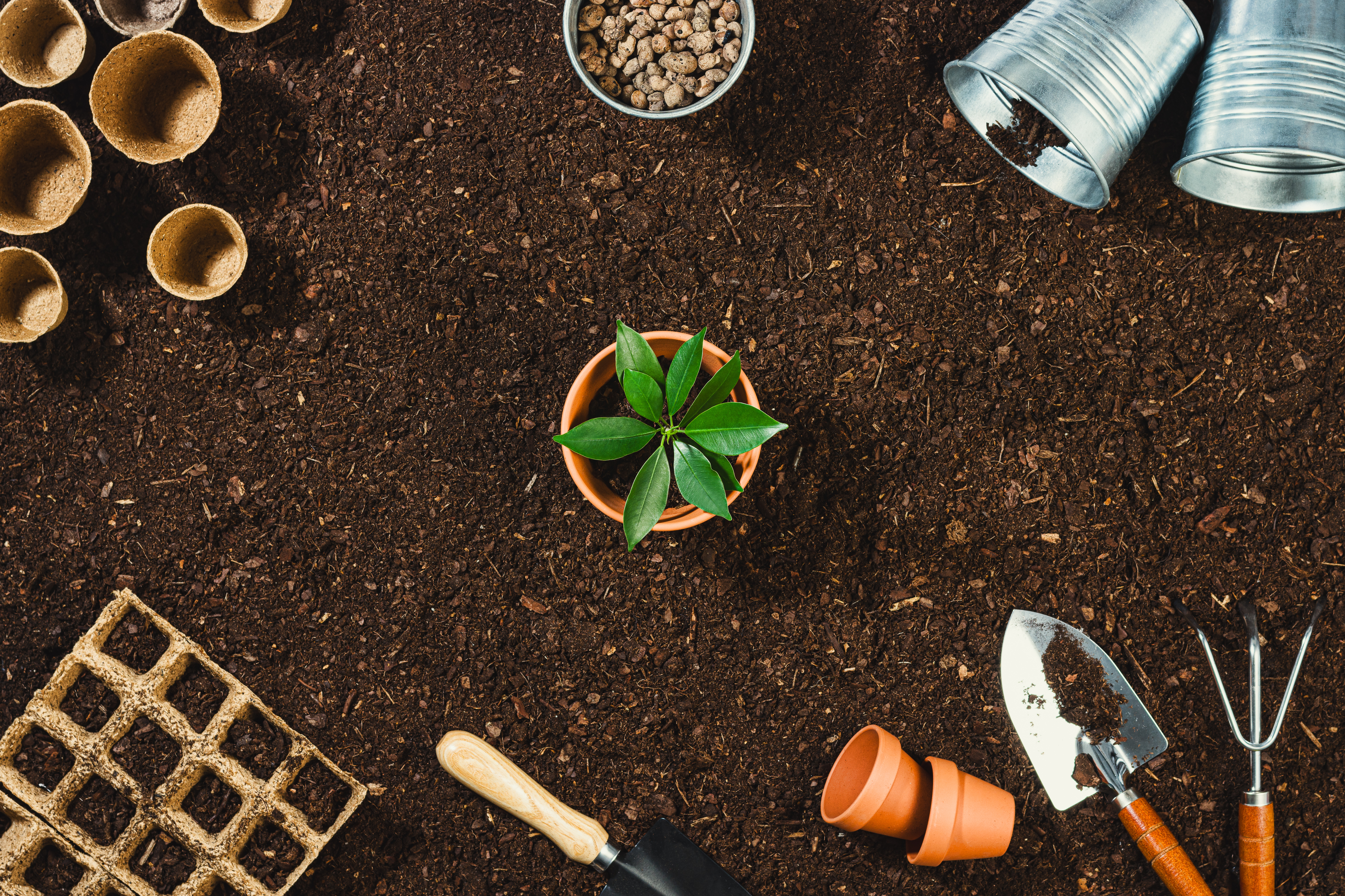 Gardening Tools On Soil Texture Background Top View. Queen's College, Oxford