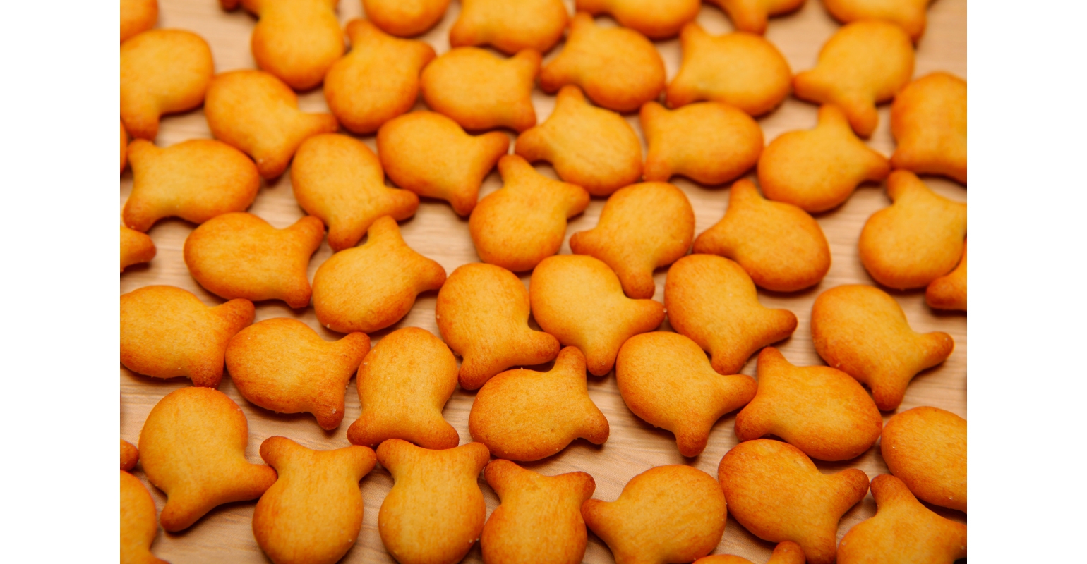Campbell Sees Gold in Goldfish Production
