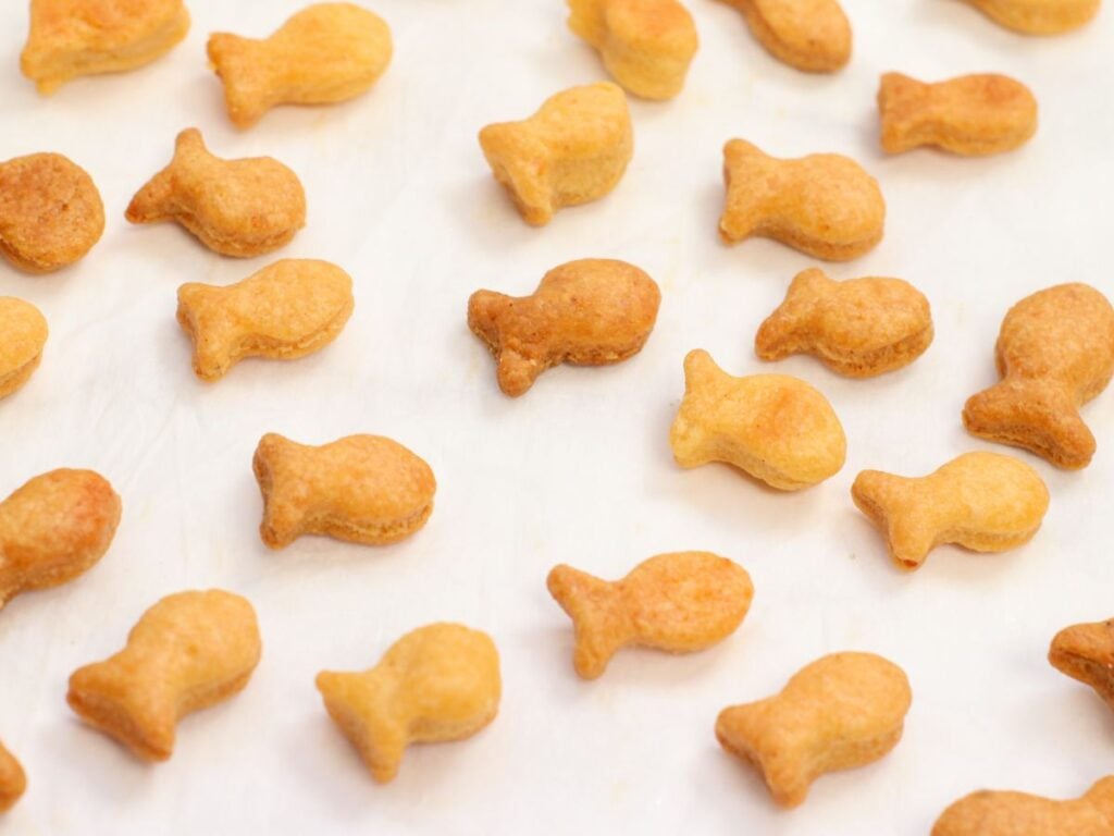 Homemade Sourdough Goldfish Crackers