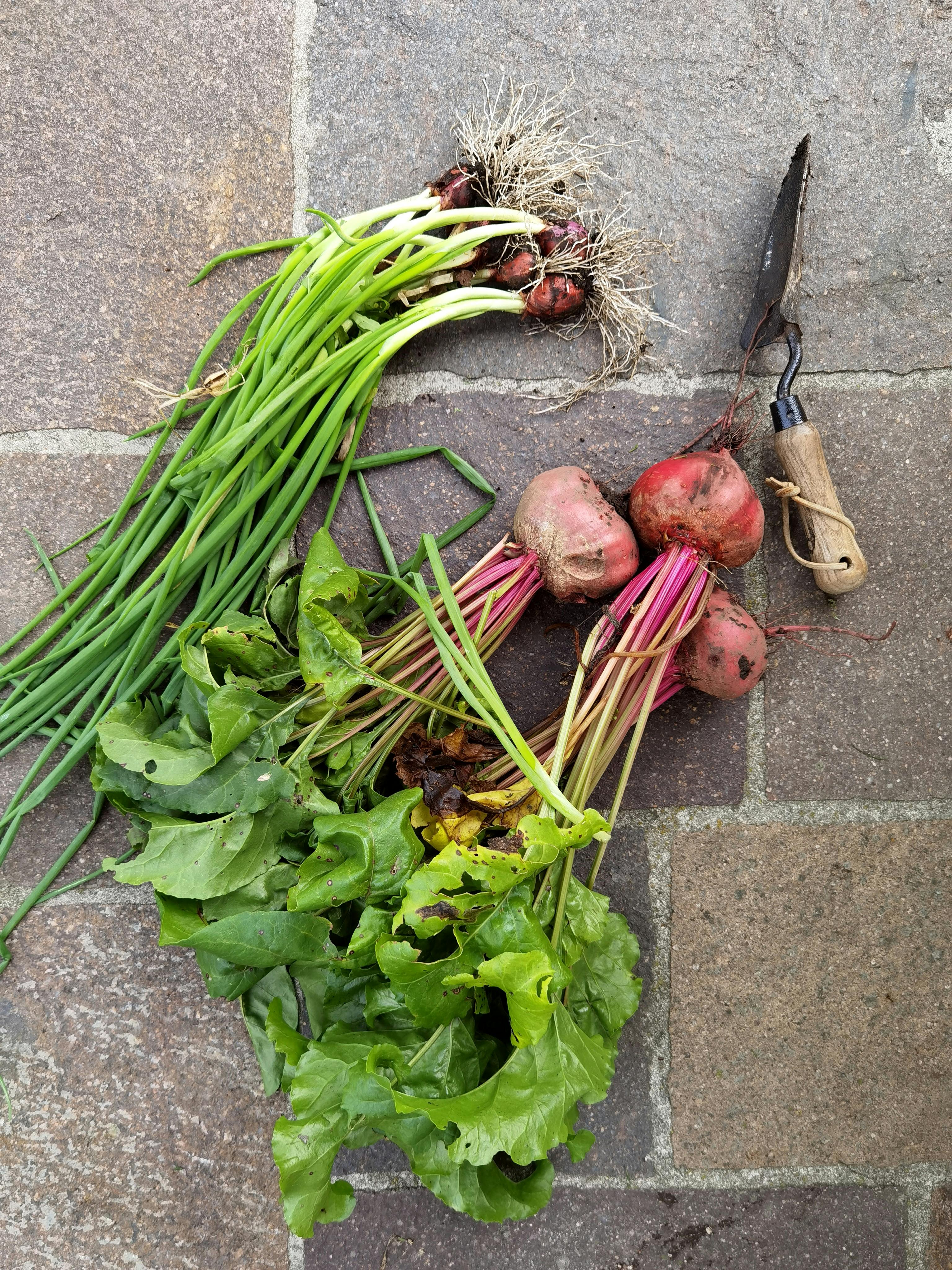 Garden Tools Photo, Download The BEST Free Garden Tools & HD Image