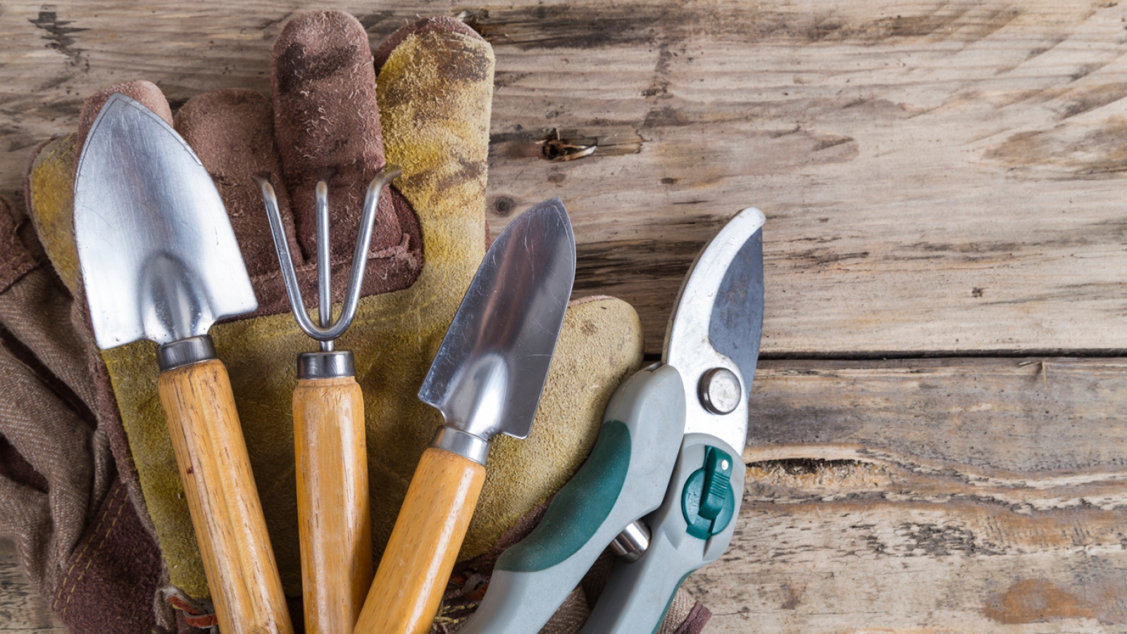 Gardening Tools: Rake and Roll. Chicago Botanic Garden