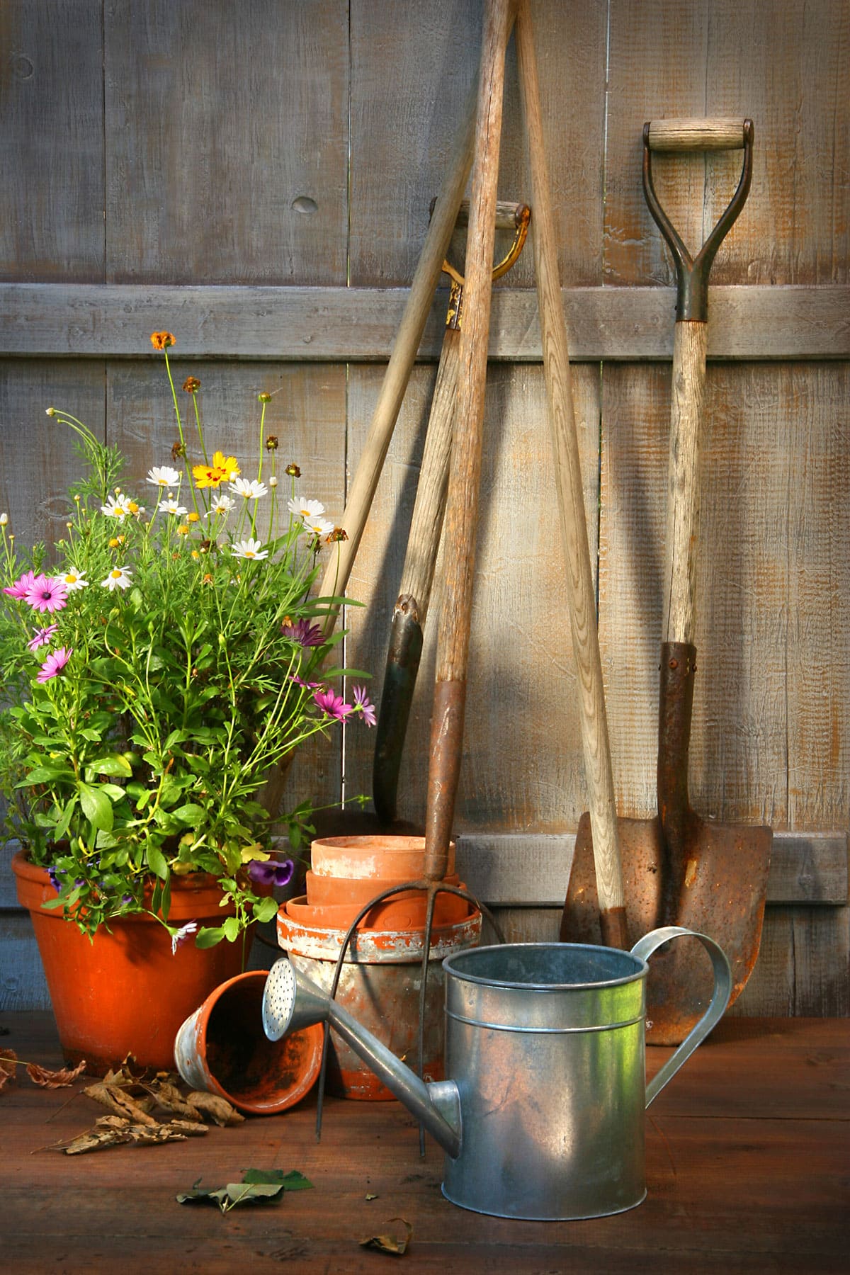 Essential Gardening Tools for Beginners