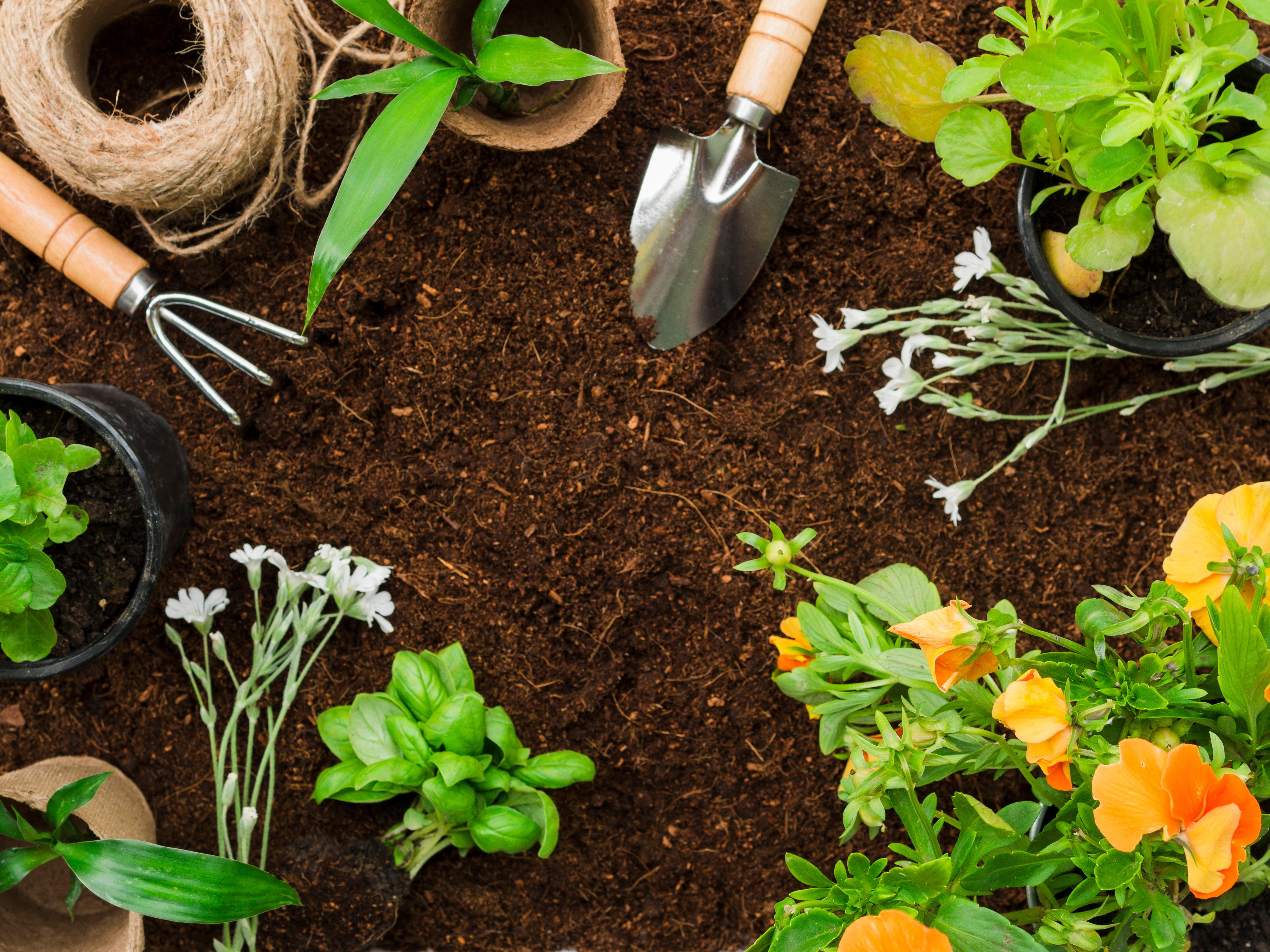 Discover The 12 Must Have Garden Tools For Proper Garden Care