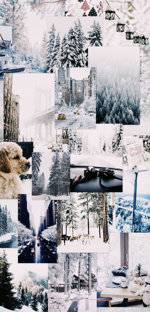 Holiday stuff. January wallpaper, Beautiful summer wallpaper, Winter wallpaper