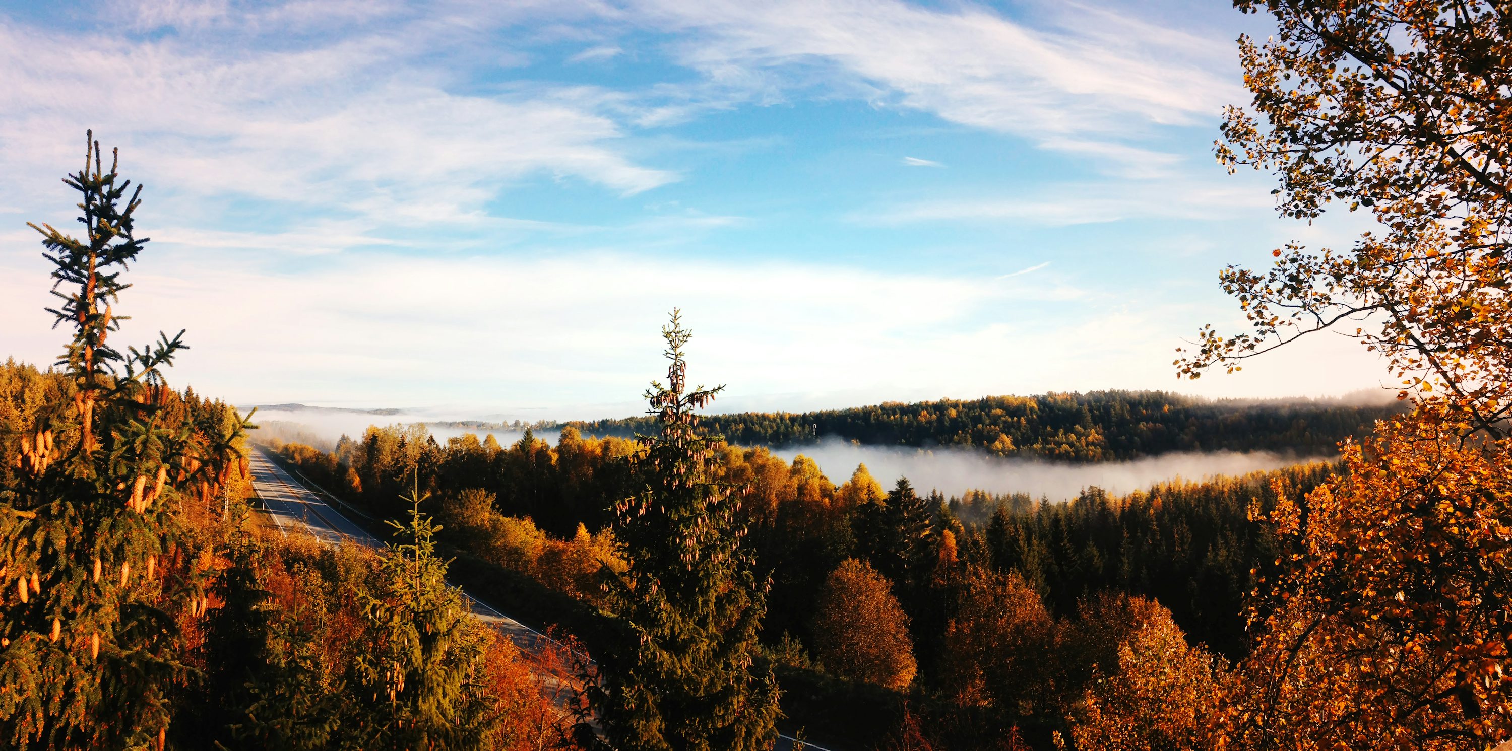 Panoramic photography of body of water surrounded with trees photo