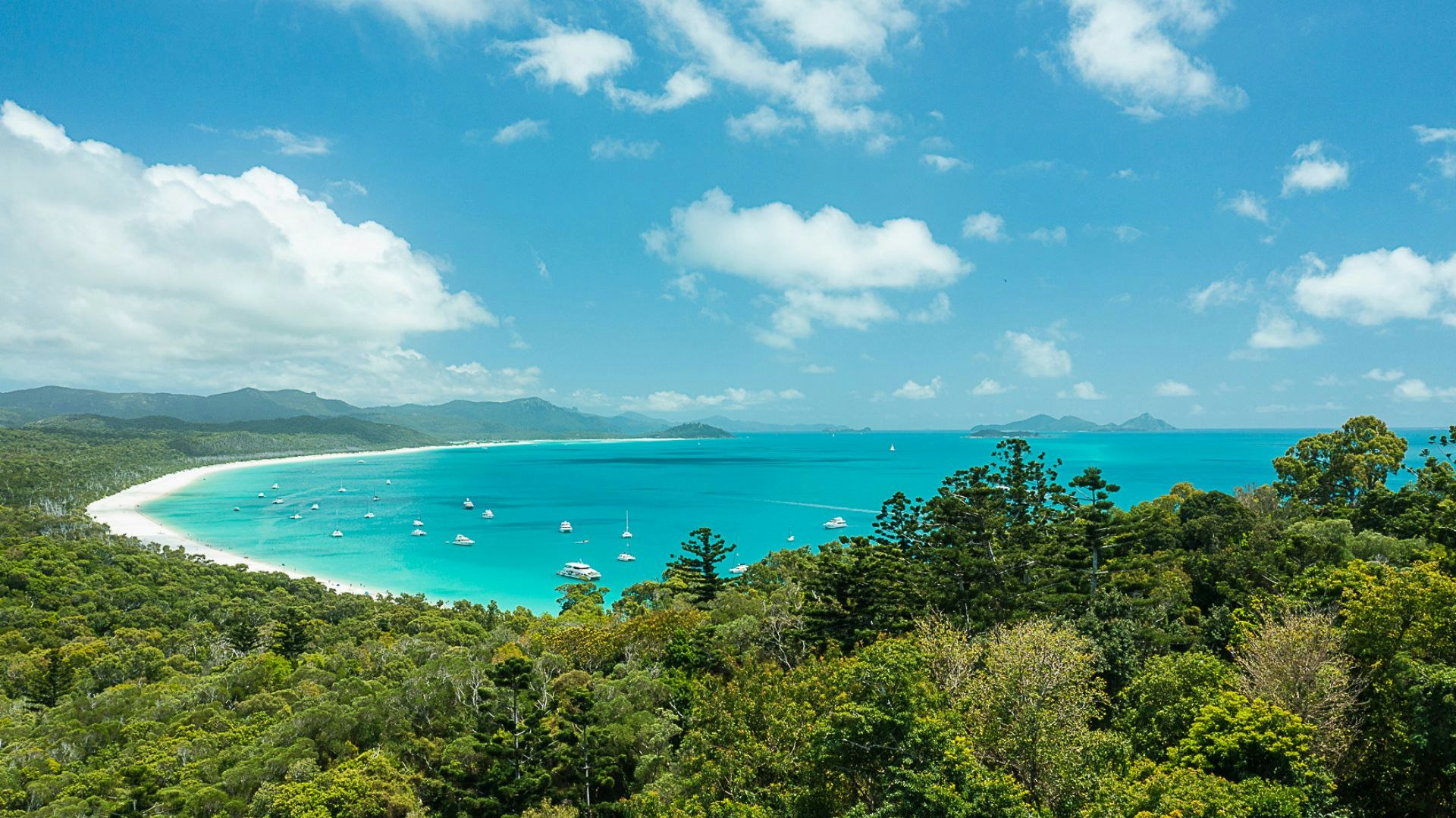 Whitehaven Beach & Hill Inlet Tours & Experiences