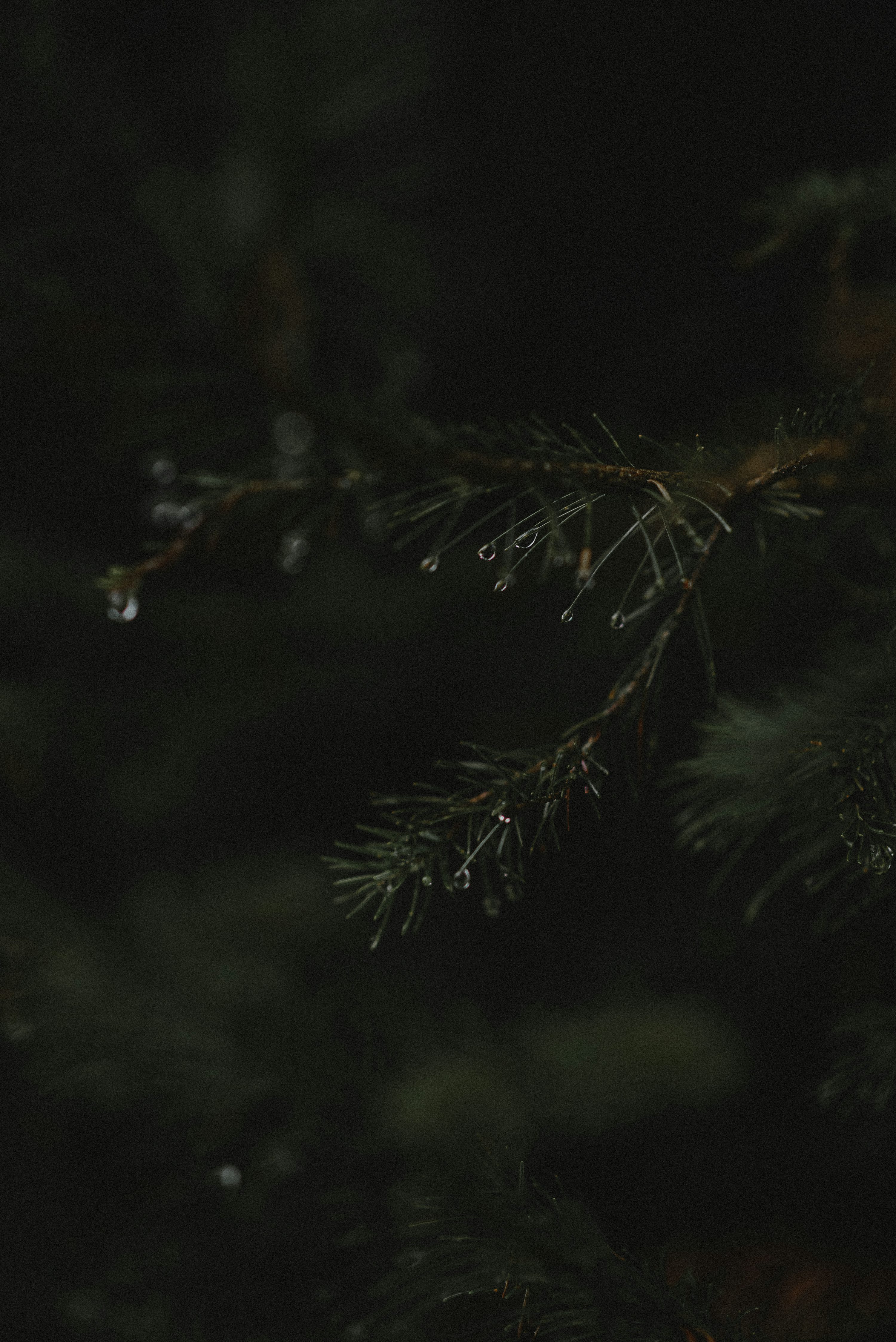 Dark Aesthetic Picture. Download Free Image
