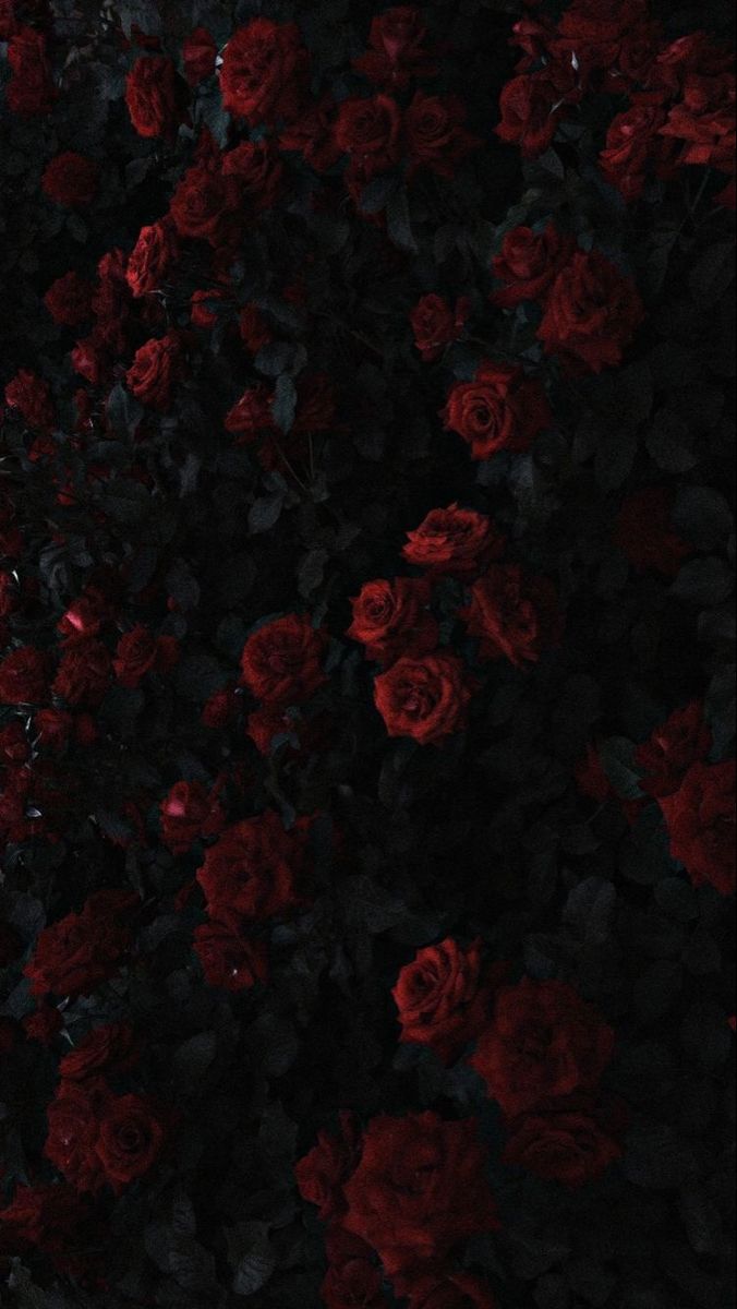 Dark Red Wallpaper: Gothic Aesthetic with Red Roses