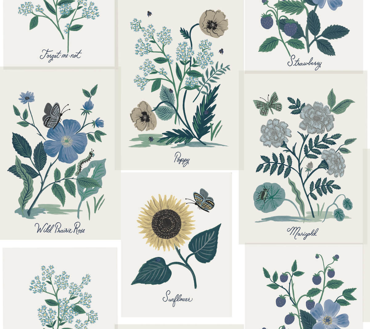 Botanical Prints White and Blue RP7335 Wallpaper by Rifle Paper Co