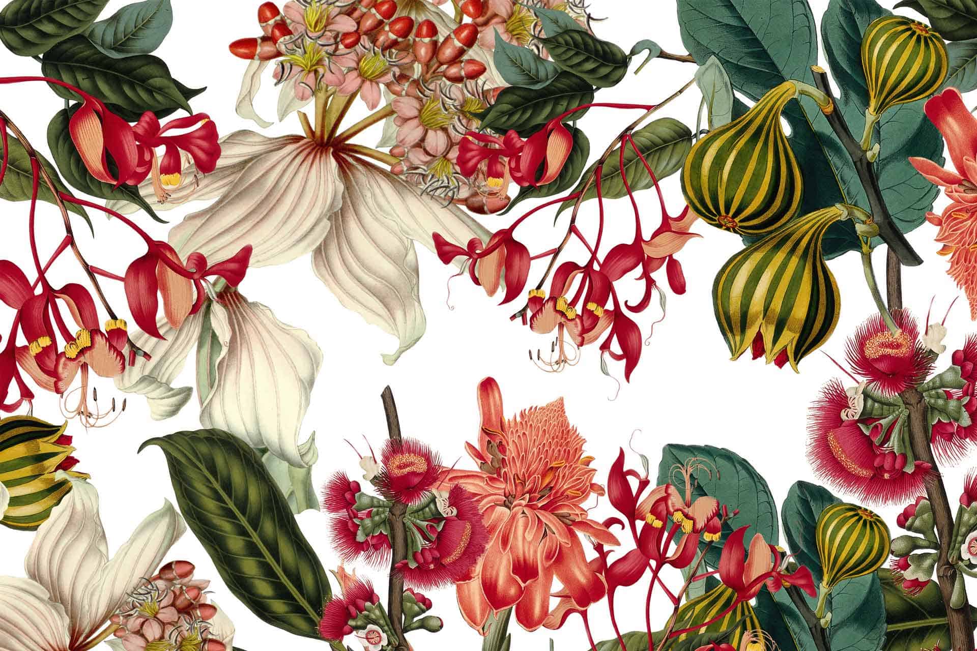 Find me in the Garden Saven Wall Design