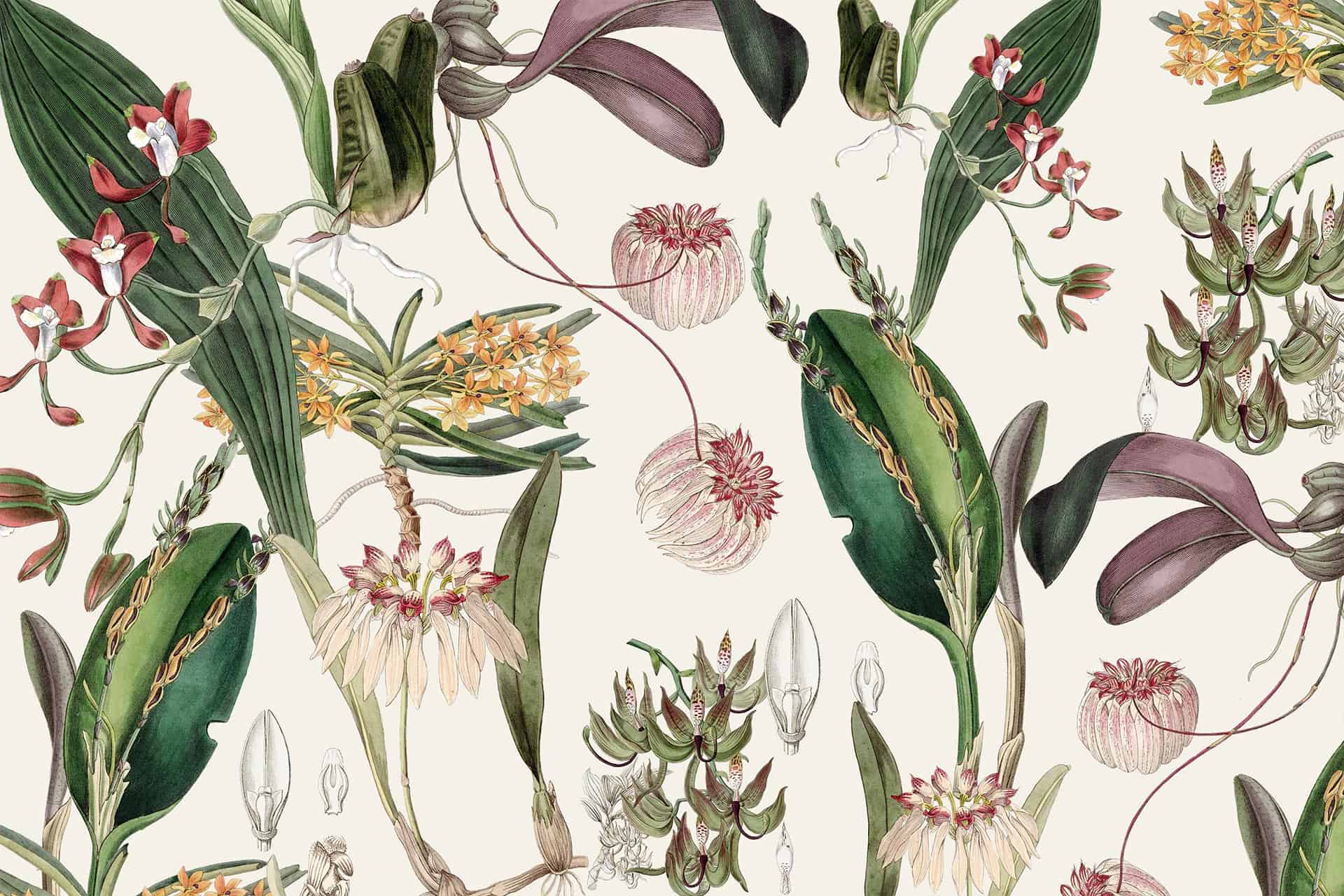 Staying Young Botanical Wallpaper. Cara Saven Wall Design