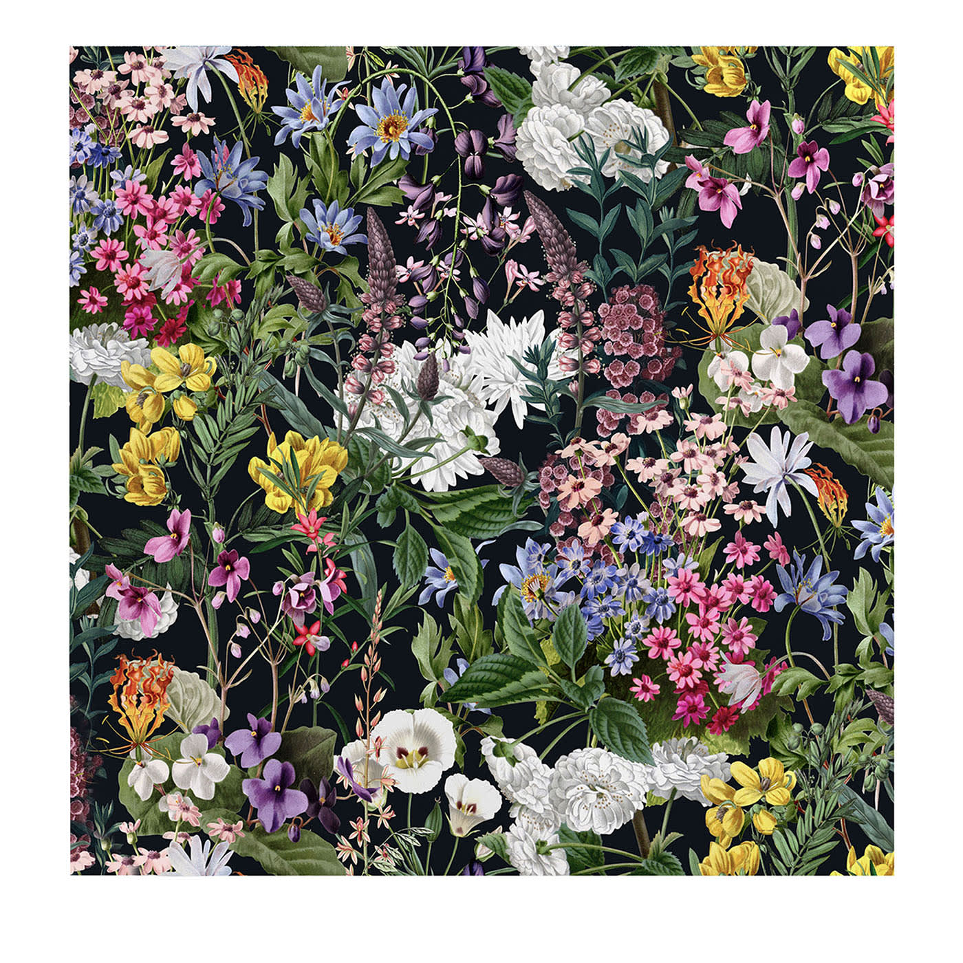 Multicolor Dark Floral Botanical Wallpaper