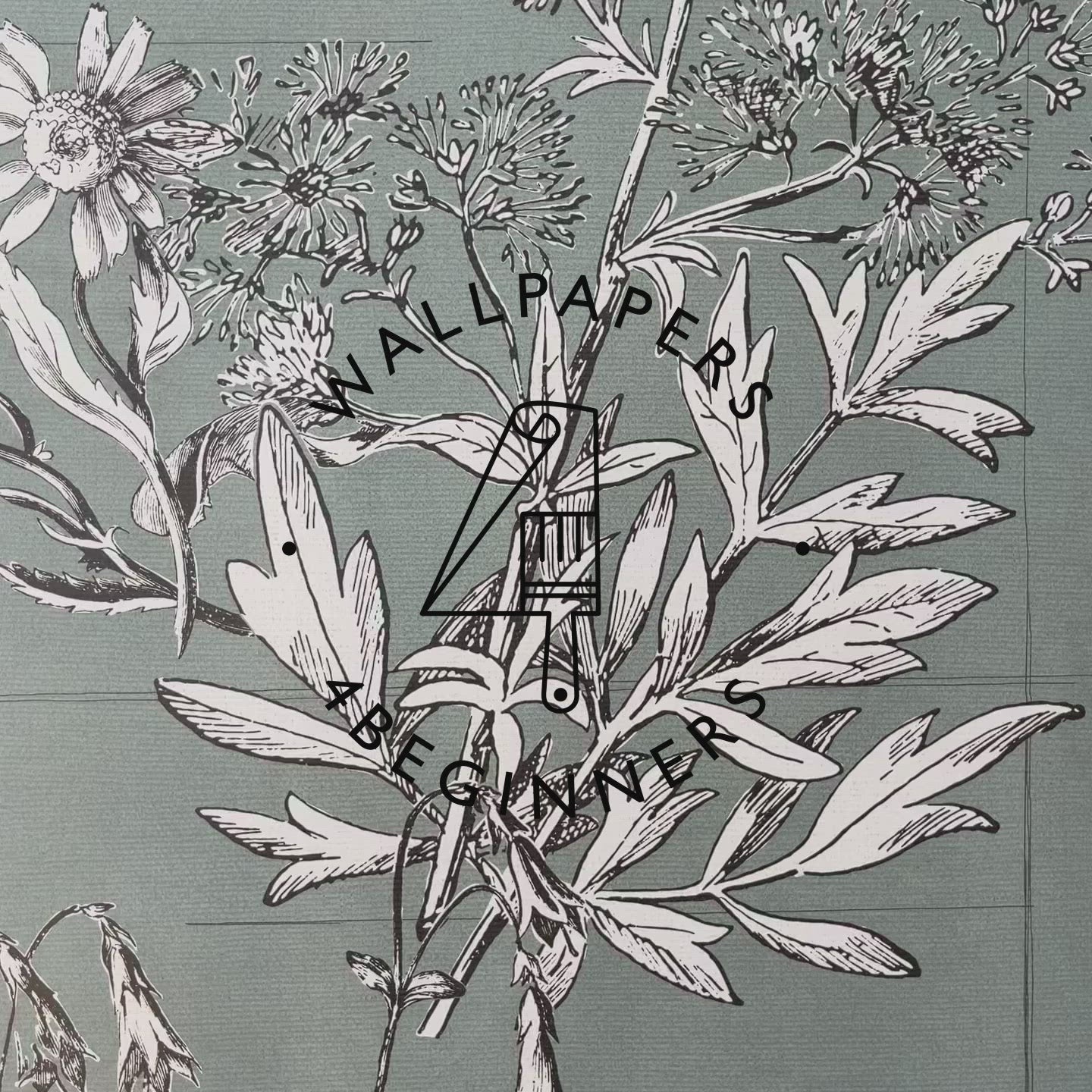 Botanical Illustrations Wallpaper