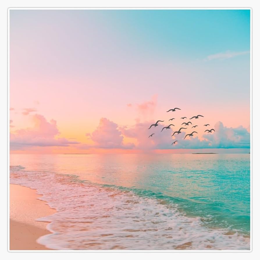Amazon.com Sunset at The Beach Ocean Seawaves and Flock of Birds Art Vinyl Sticker Waterproof Decal Laptop Wall Window Bumper Sticker 5