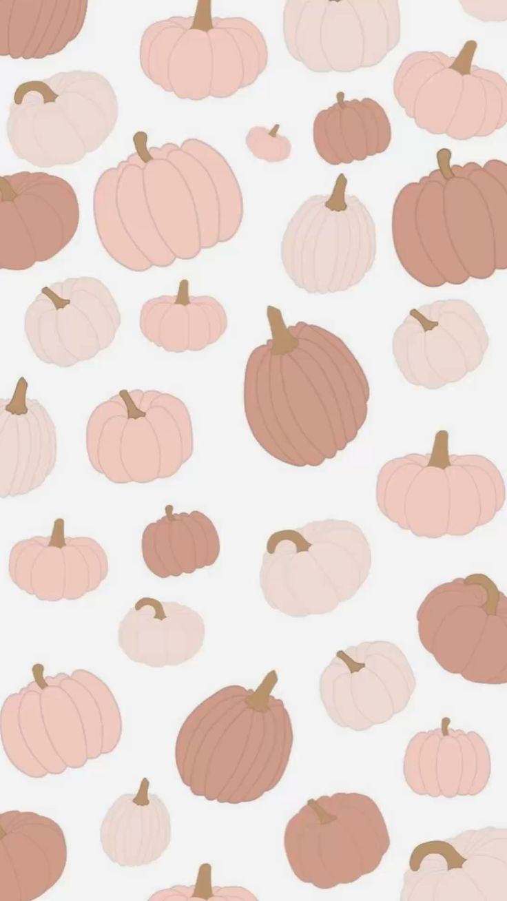 fall background pumpkins pink brown pastel cute wallpaper