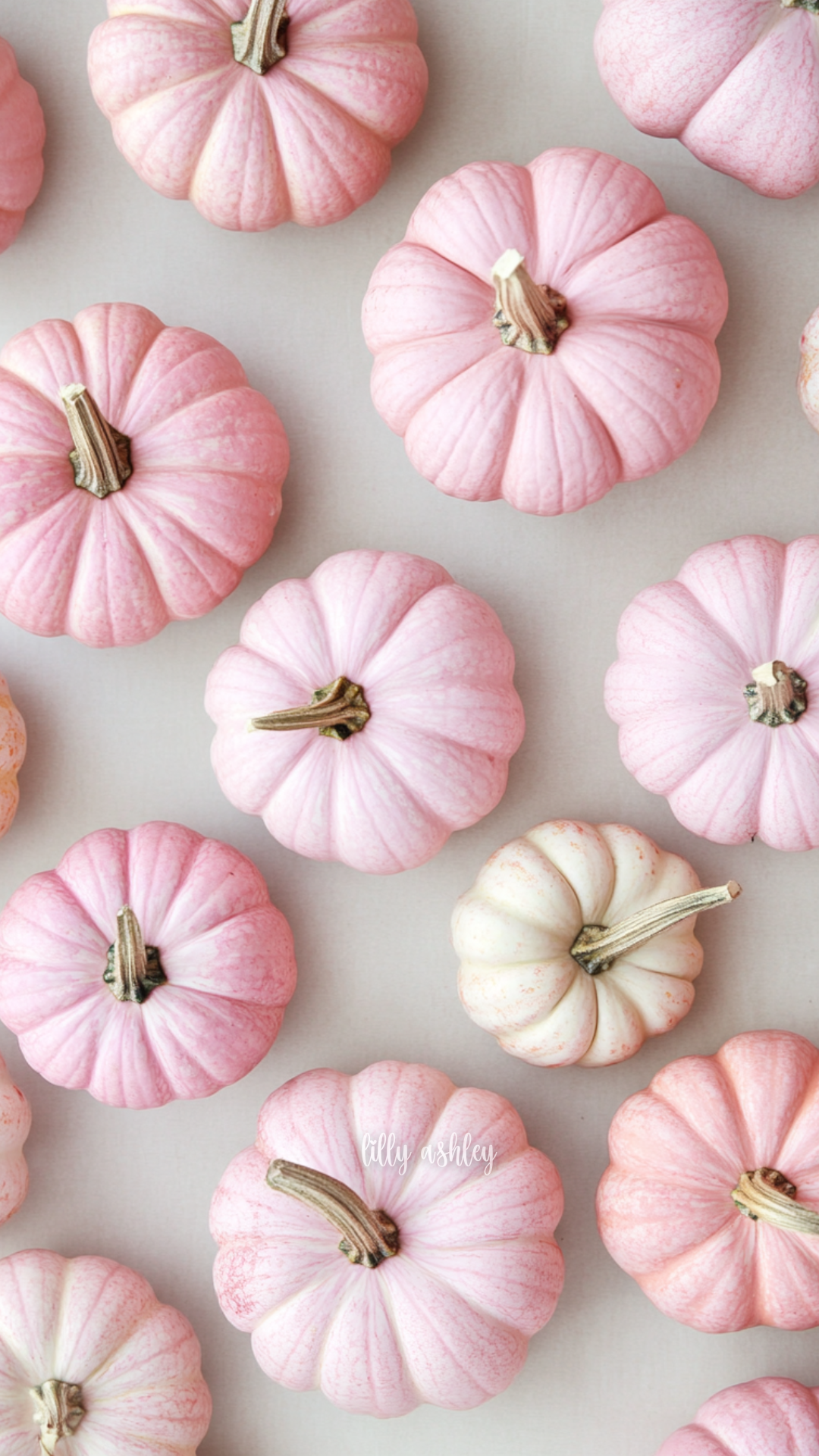 Pumpkin Pink Wallpaper Collection
