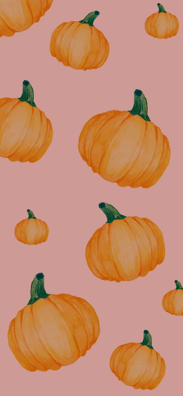 Download Pink Background Orange Pumpkins Wallpaper