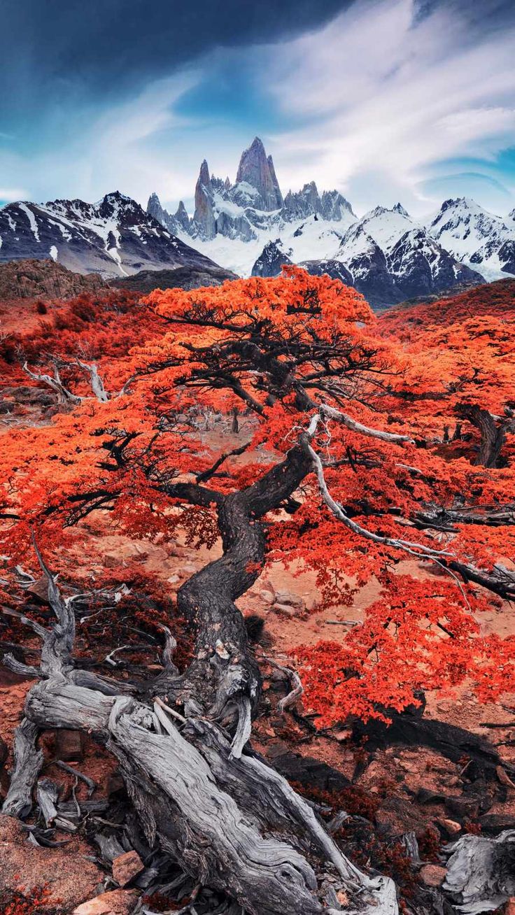 Patagonia iPhone Wallpaper